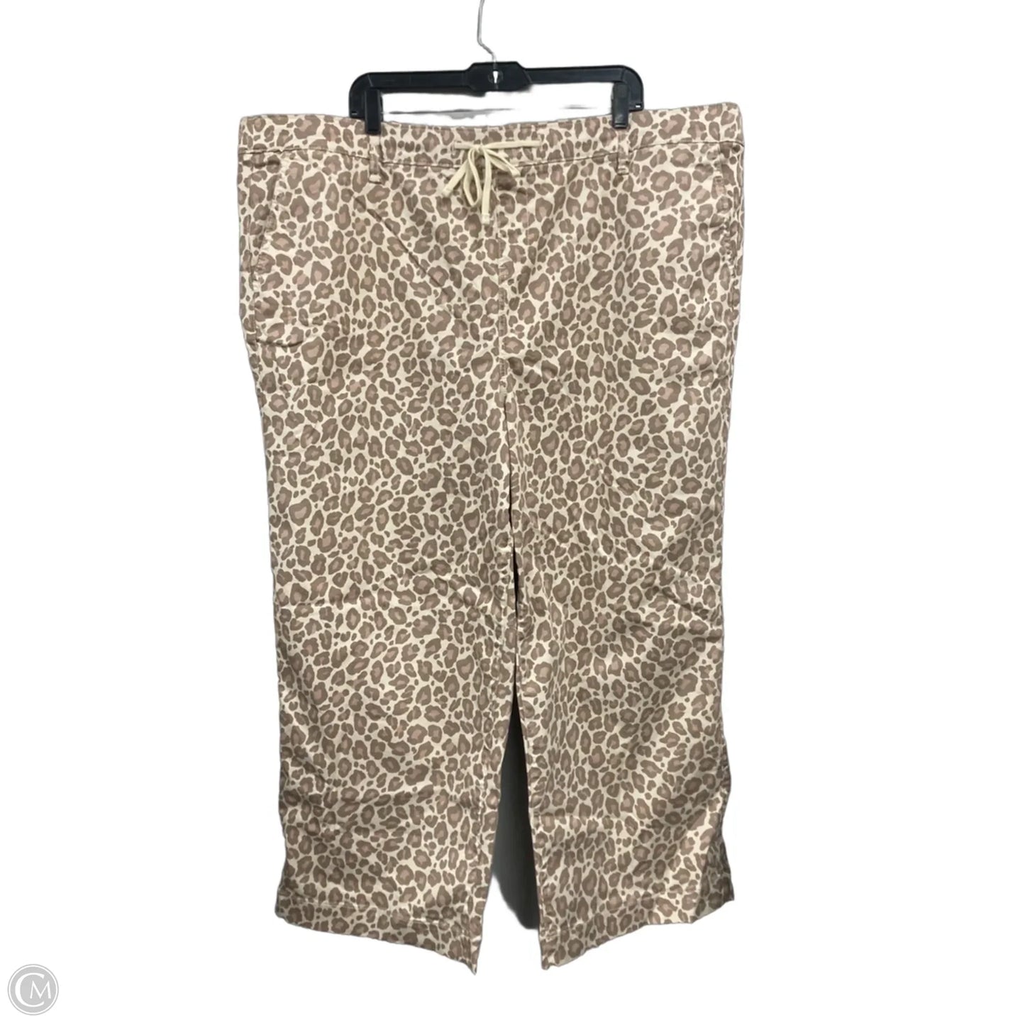 Pants Wide Leg By Torrid In Cream & Tan, Size: 4x