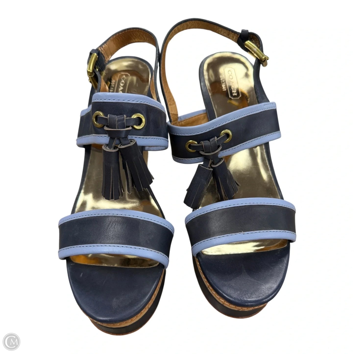 Sandals Designer By Coach In Blue, Size: 9