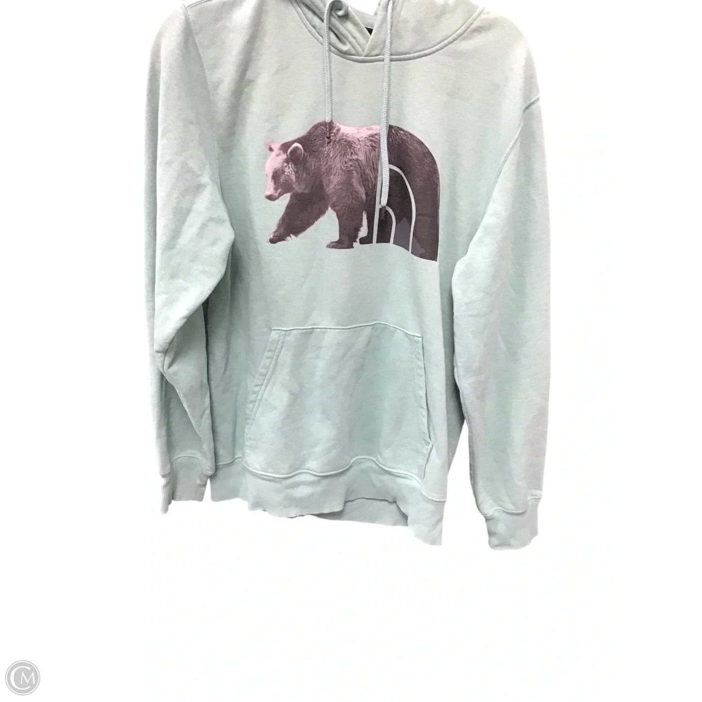 Sweatshirt Hoodie By The North Face In Green, Size: M