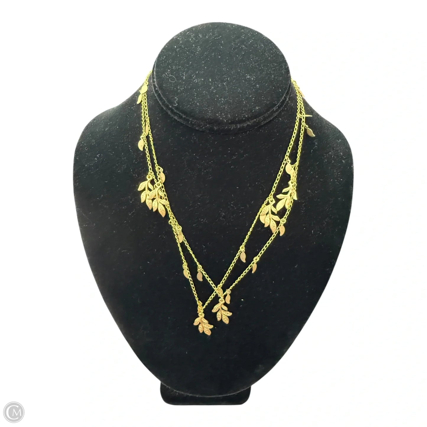 Necklace Chain By Clothes Mentor