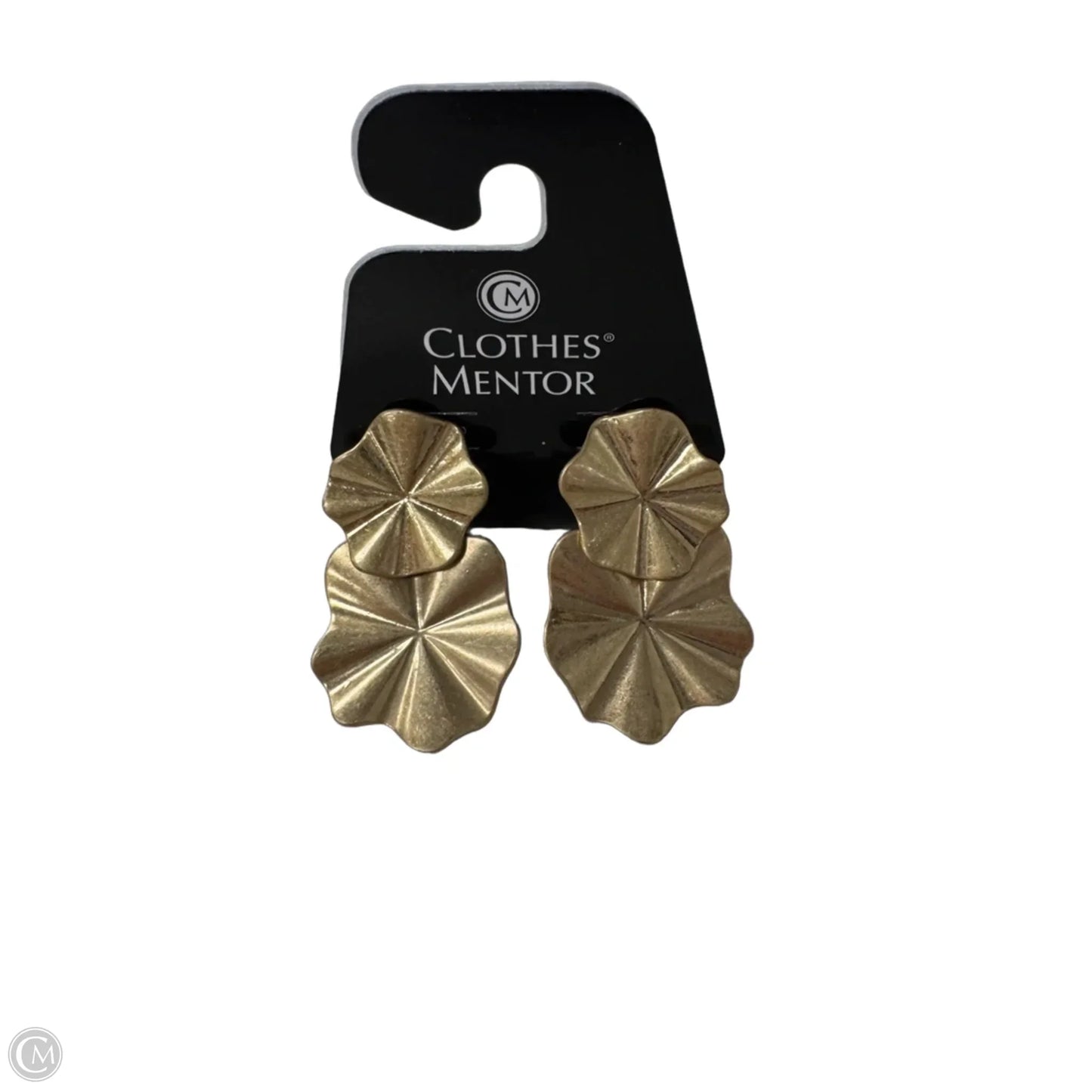 Earrings Dangle/drop By Clothes Mentor