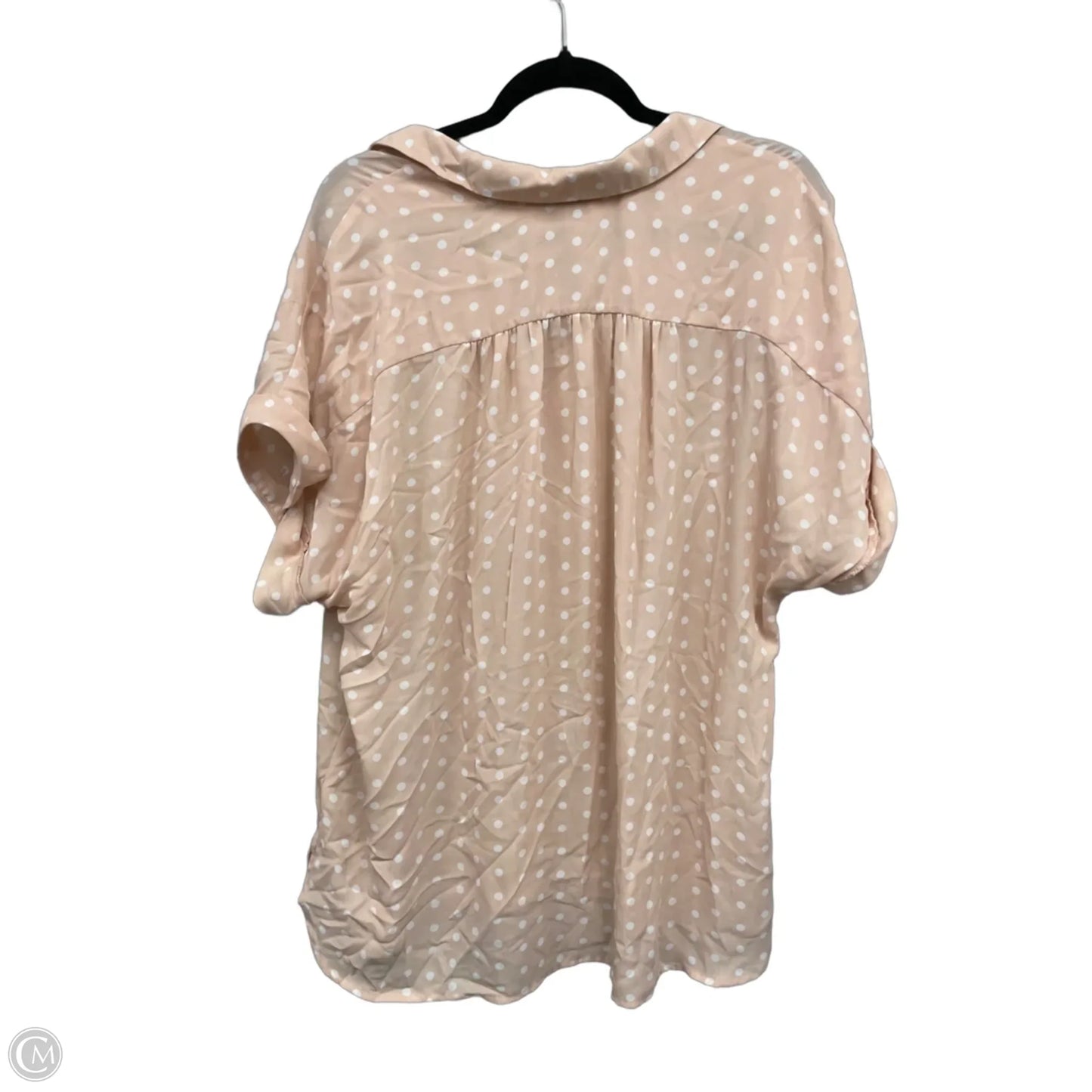 Blouse Short Sleeve By Dr2 In Cream & White, Size: Xl