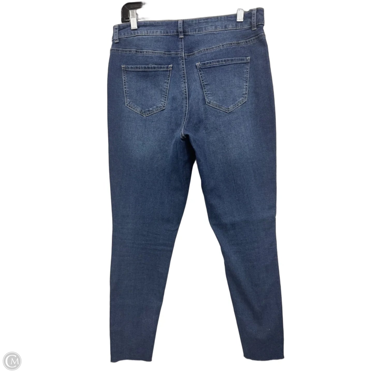Jeans Skinny By Clothes Mentor In Blue & Silver, Size: 10