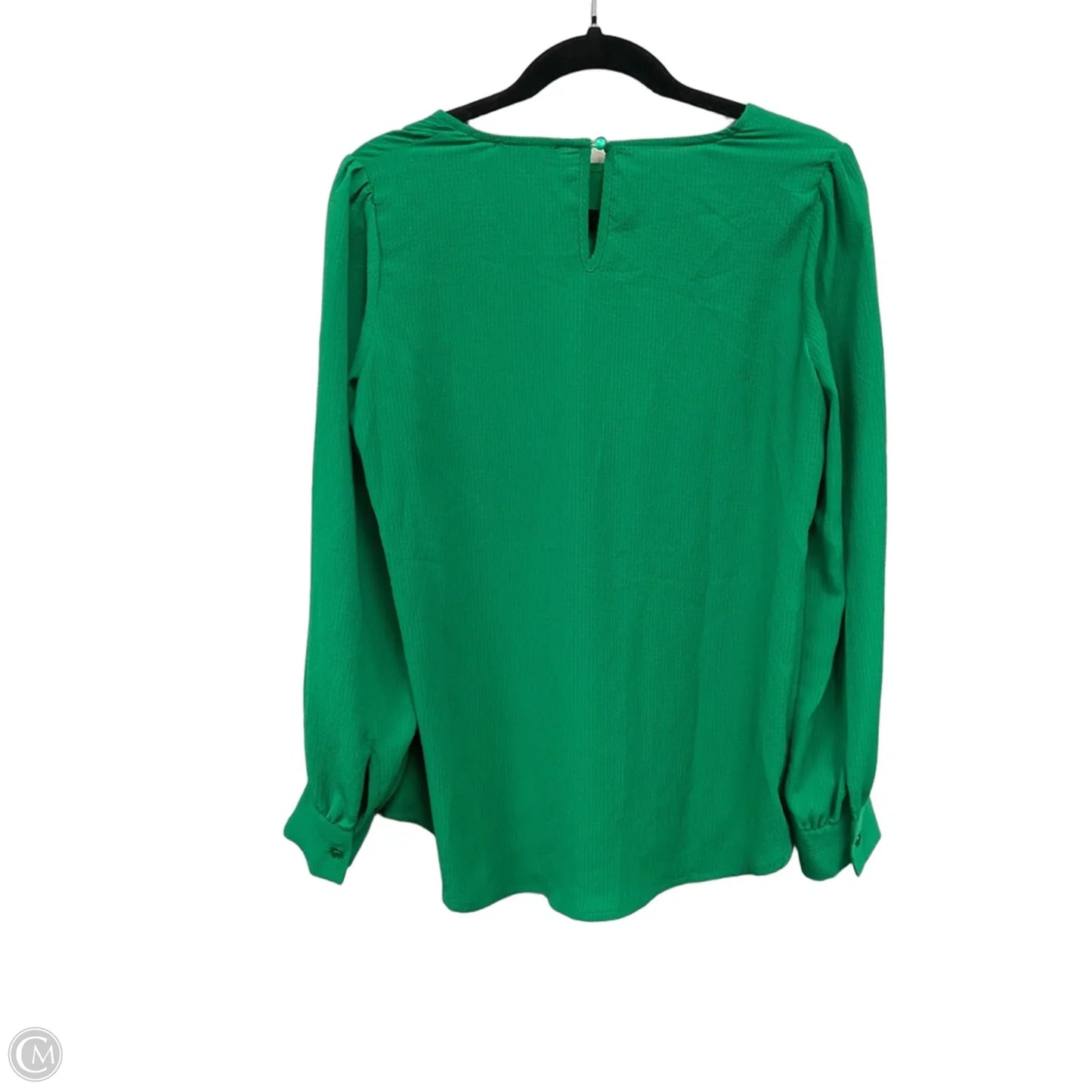 Blouse Long Sleeve By Adrianna Papell In Green, Size: S