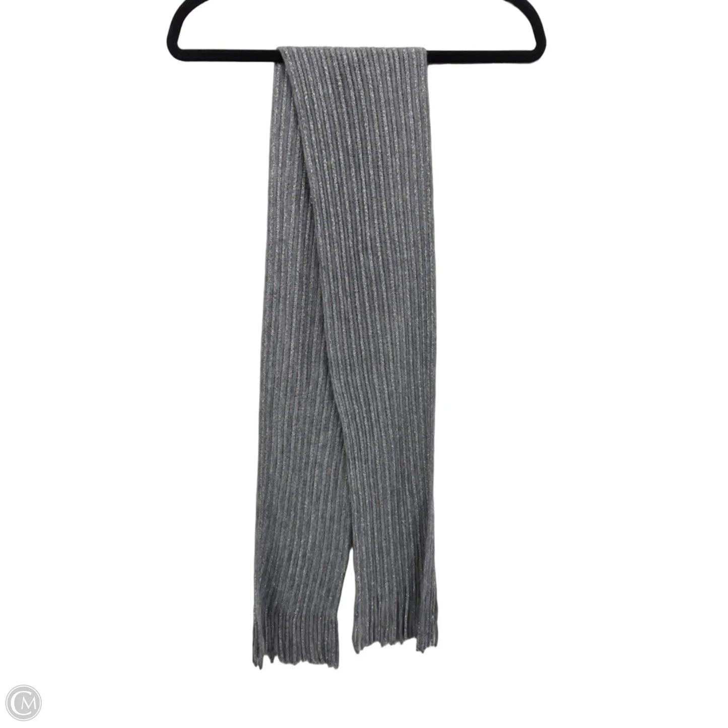 Scarf Winter By Clothes Mentor In Grey & Silver