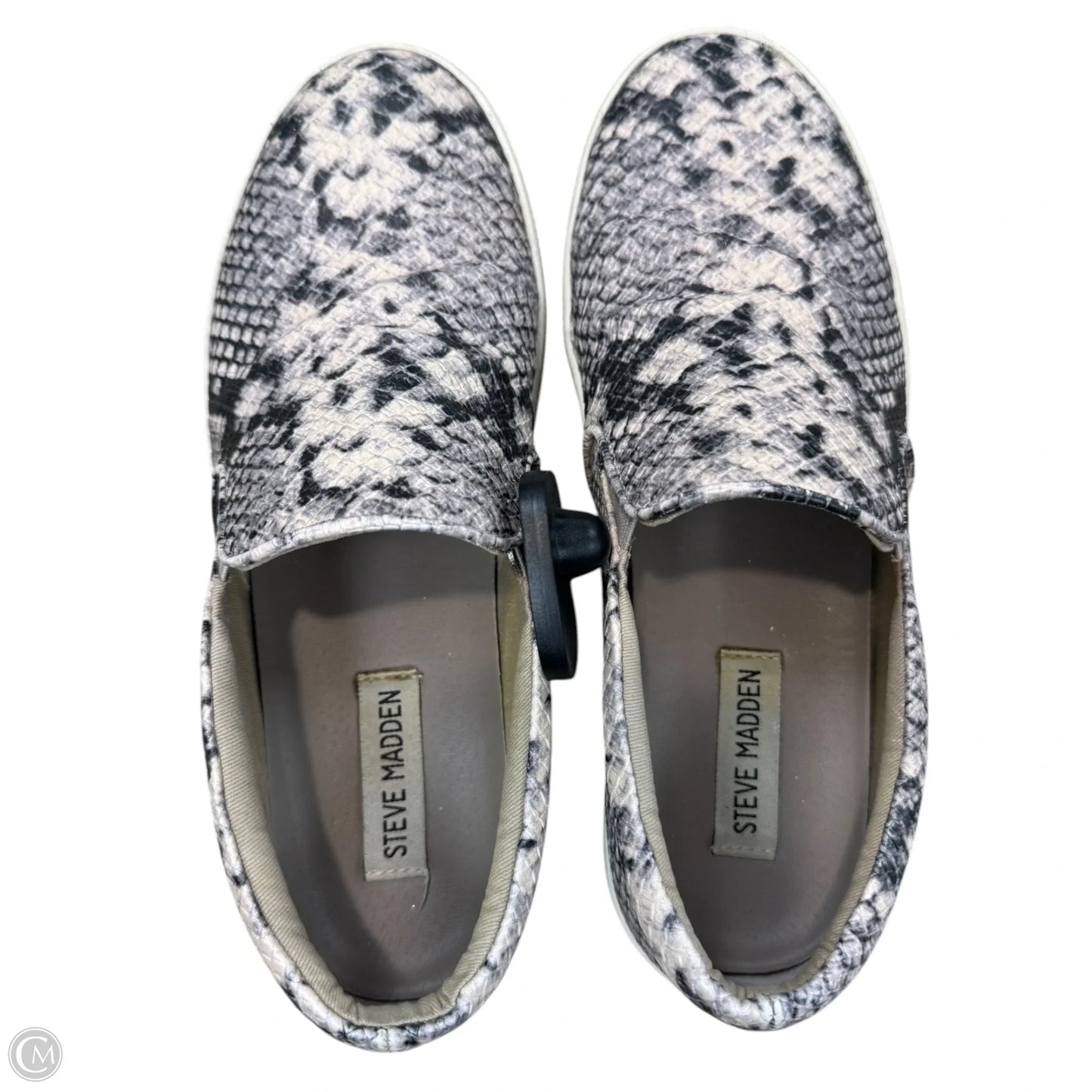 Shoes Flats By Steve Madden In Snakeskin Print, Size: 8