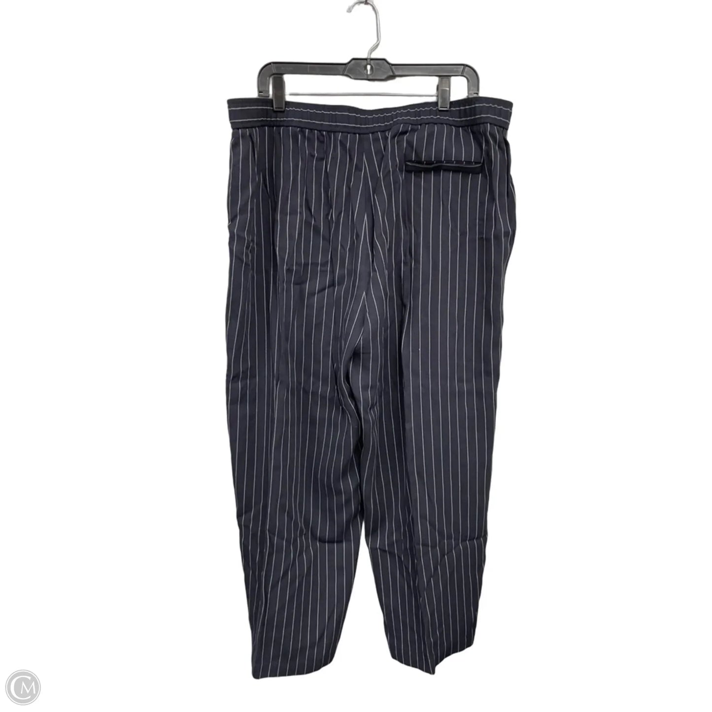 Pants Other By Eileen Fisher In Blue, Size: Xl