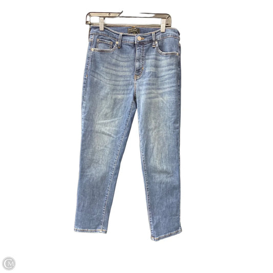 Jeans Skinny By Banana Republic In Blue Denim, Size: 8