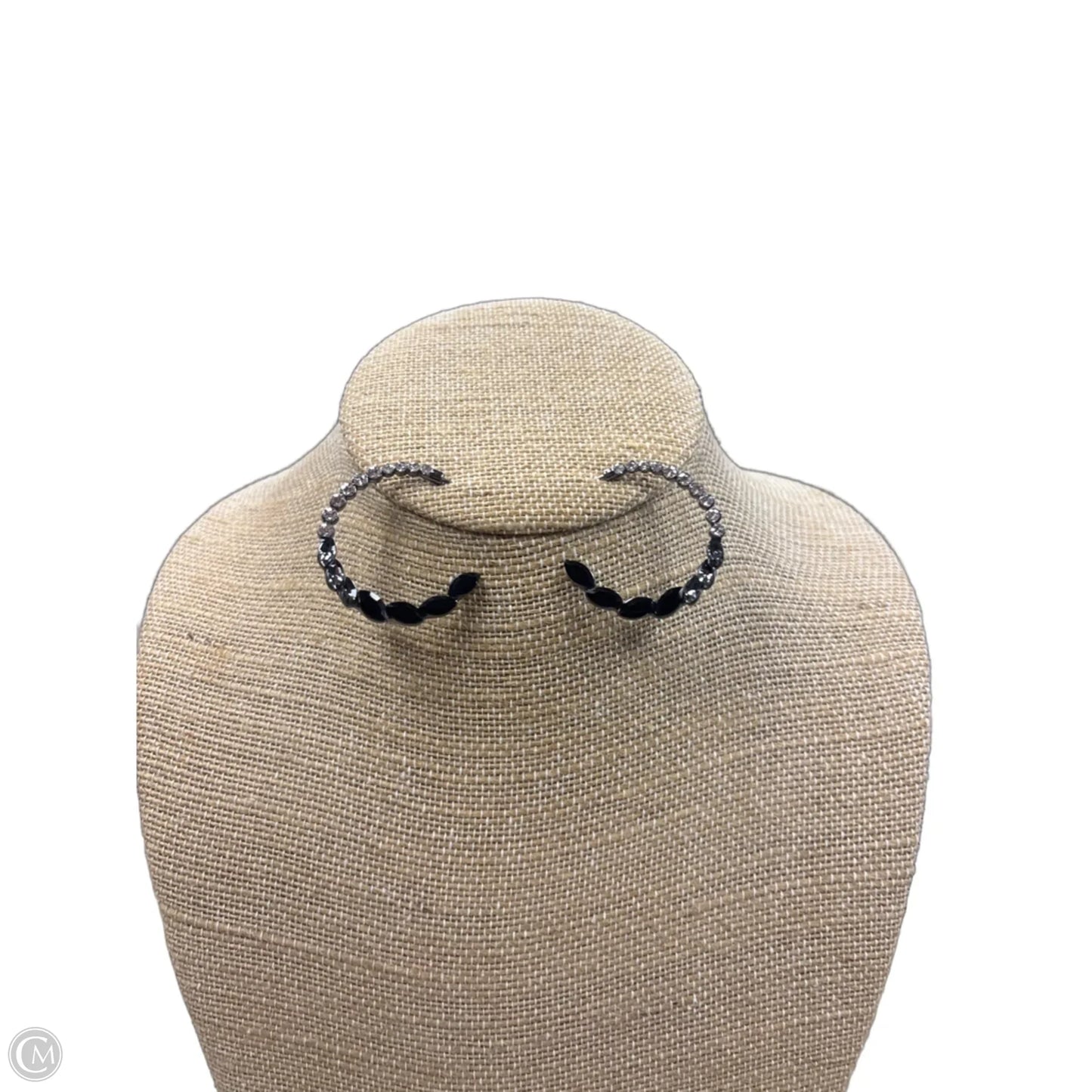 Earrings Hoop By Paparazzi