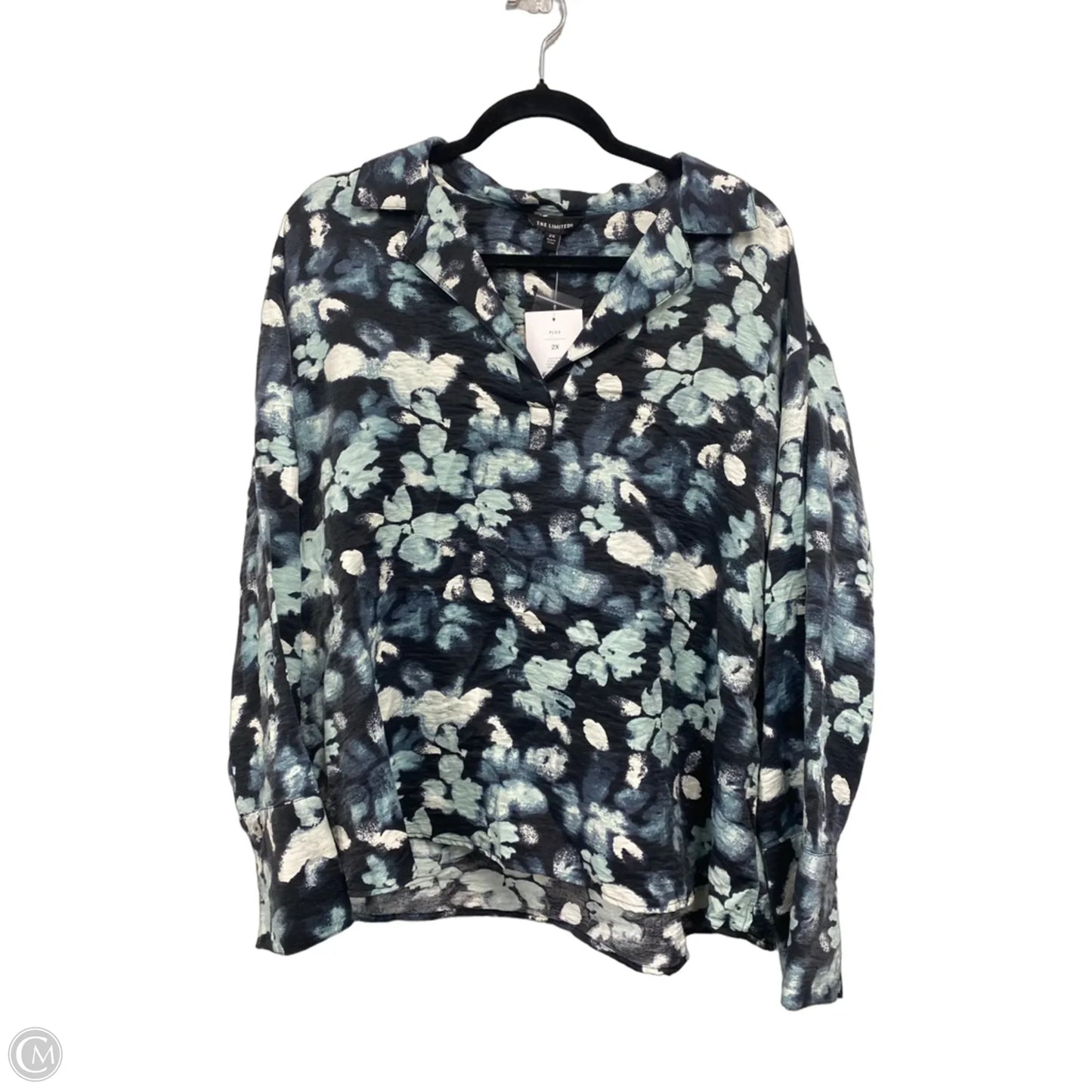 Blouse Long Sleeve By Limited In Blue & White, Size: 2x