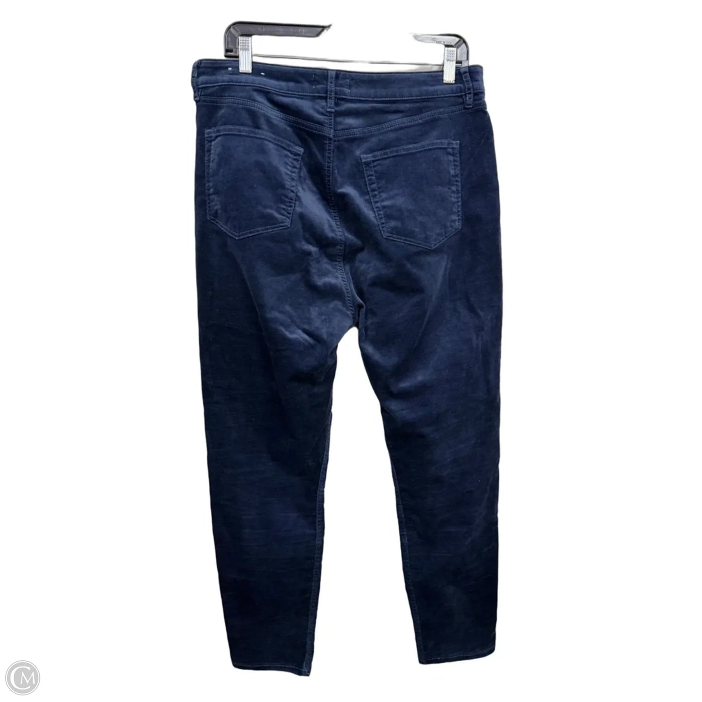 Pants Other By Loft In Navy, Size: 12