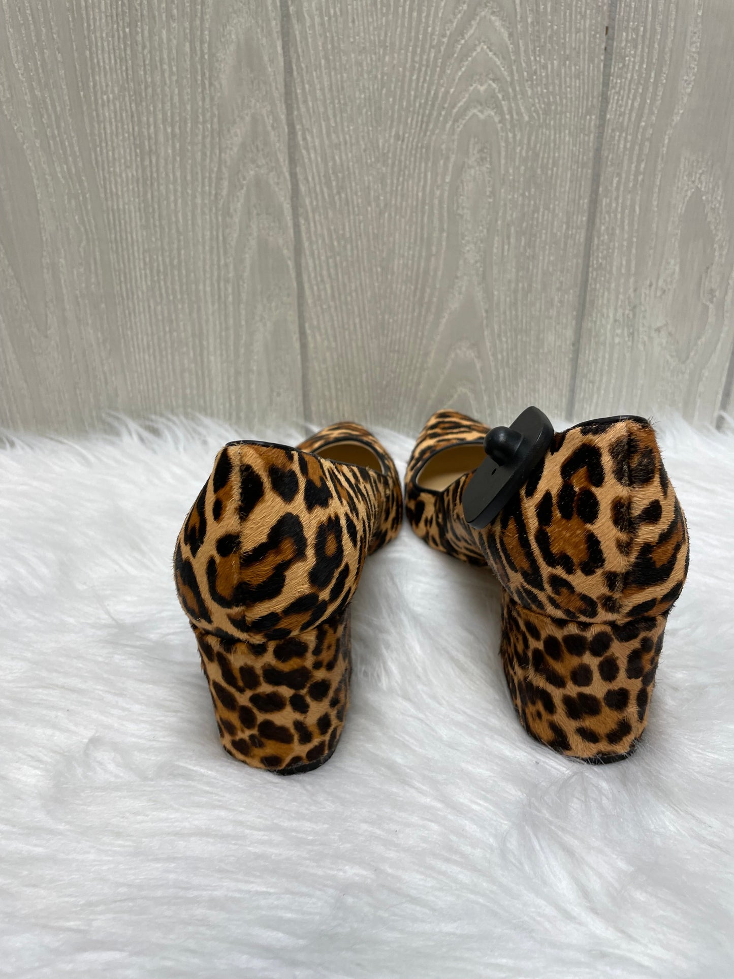 Animal Print Shoes Heels Block Nine West, Size 10