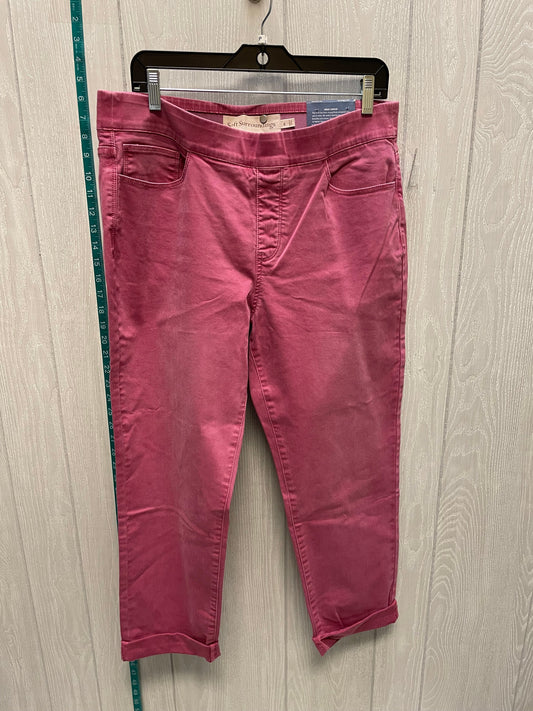 Pink Denim Jeans Jeggings Soft Surroundings, Size 12
