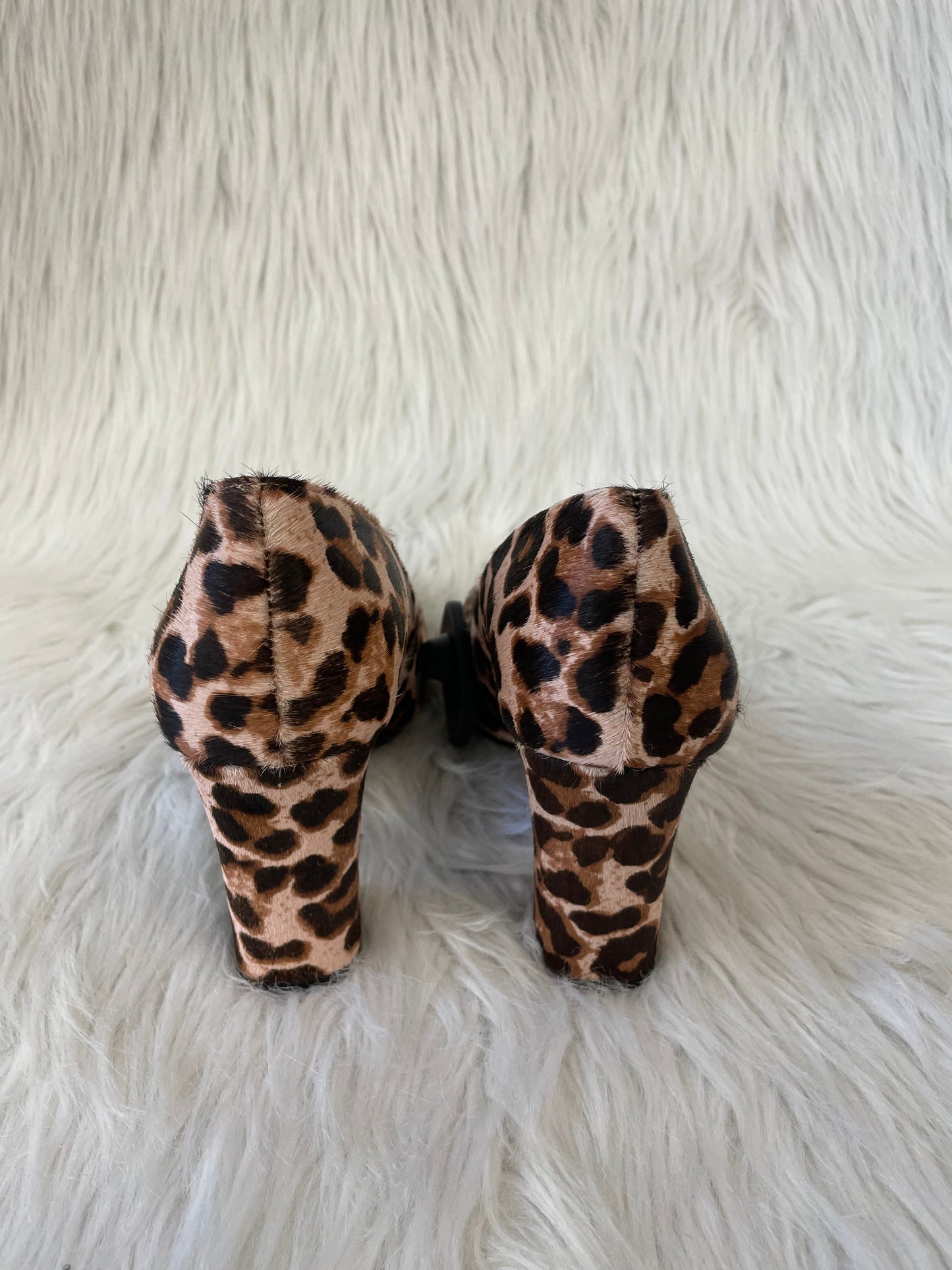 Shoes Heels Block By Vince Camuto In Animal Print, Size: 6.5