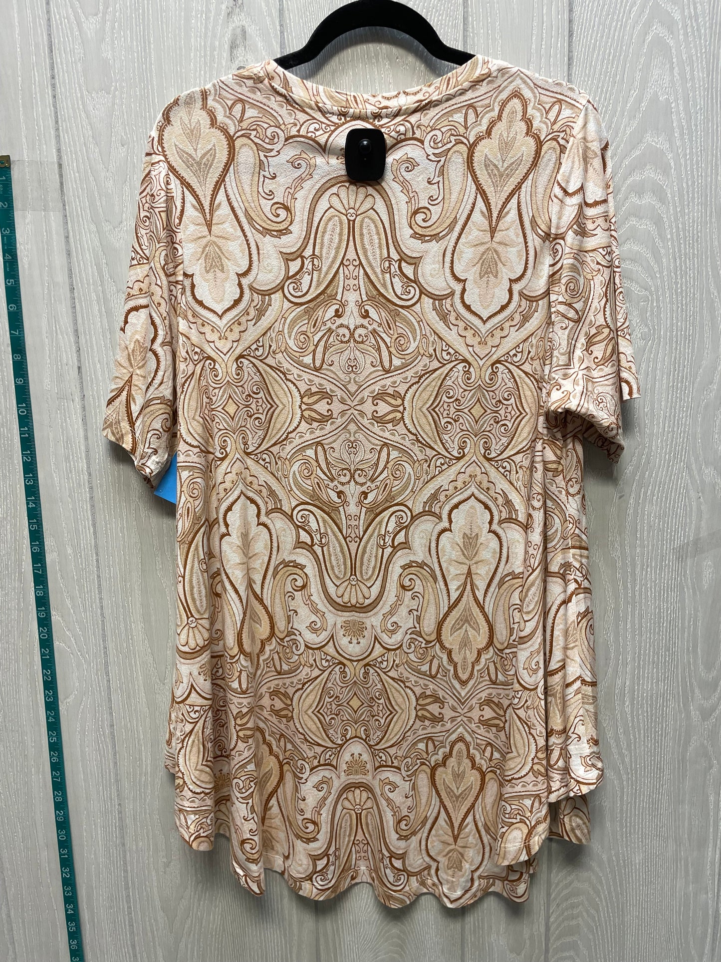 Top Short Sleeve By Lane Bryant In Brown & Cream, Size: 1x