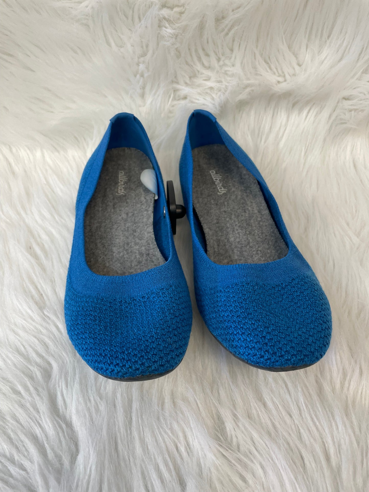 Shoes Flats By Allbirds In Blue, Size: 10