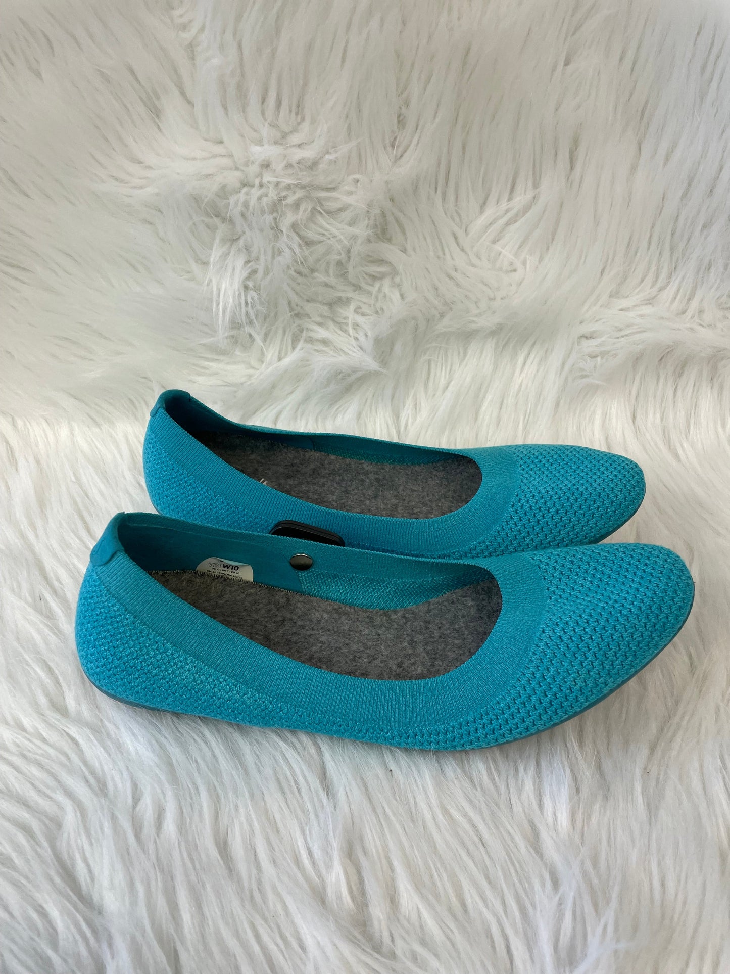 Shoes Flats By Allbirds In Blue, Size: 10