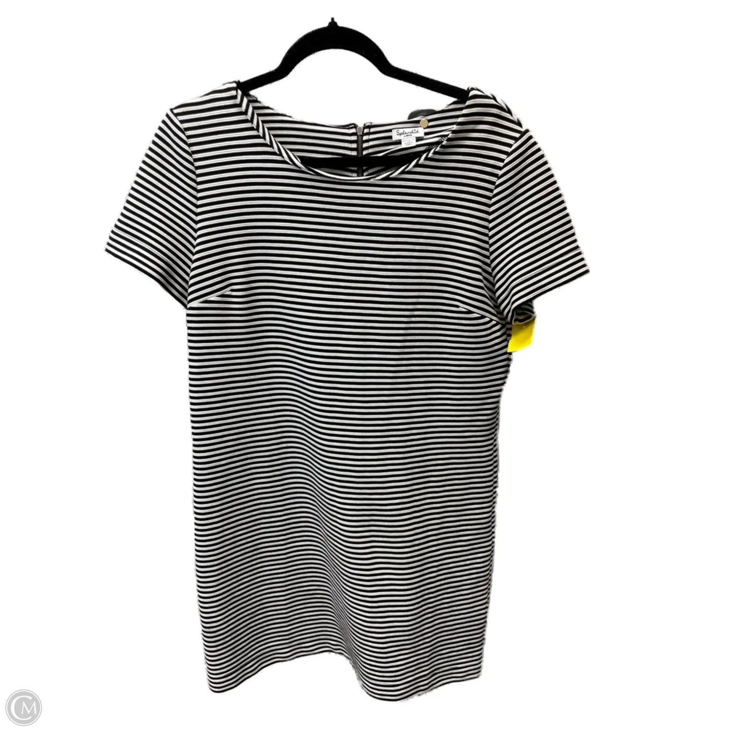 Dress Casual Short By Splendid In Striped Pattern, Size: L