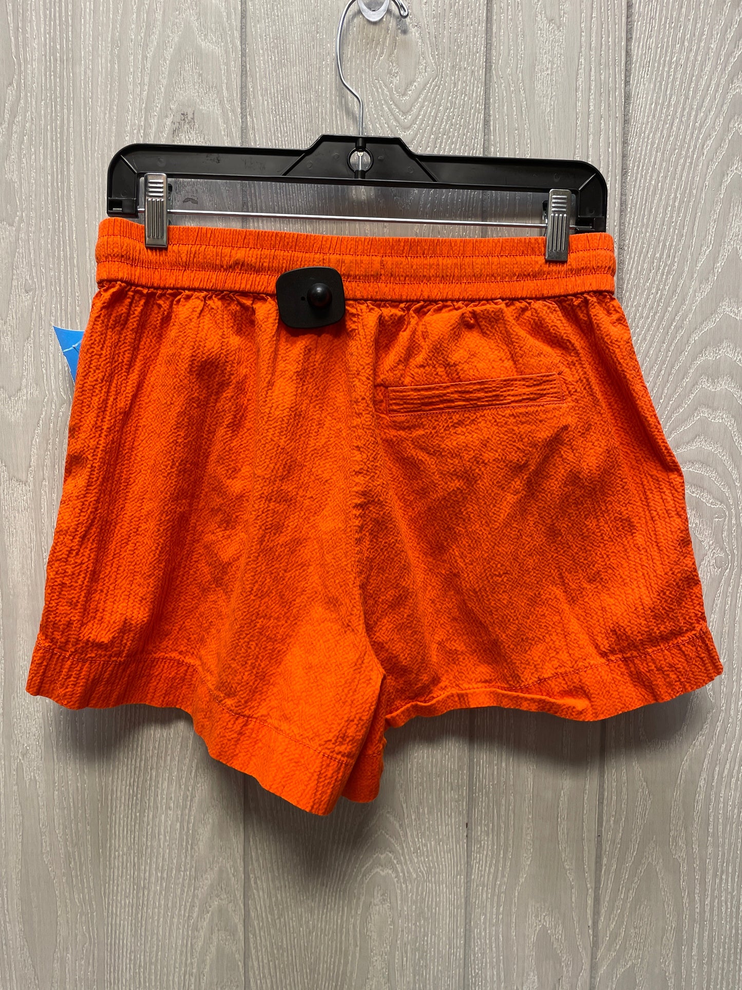 Shorts By Everlane In Orange, Size: 8