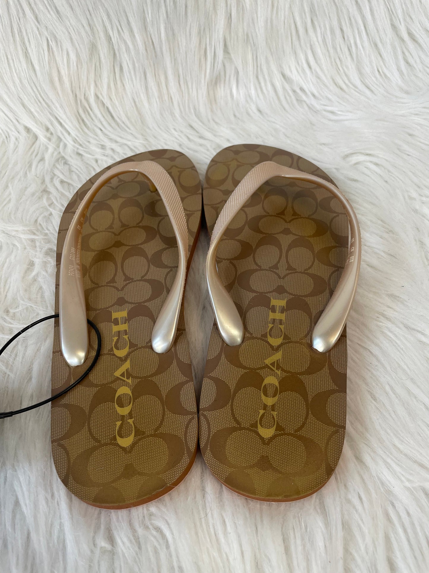 Sandals Designer By Coach In Brown & Gold, Size: 8