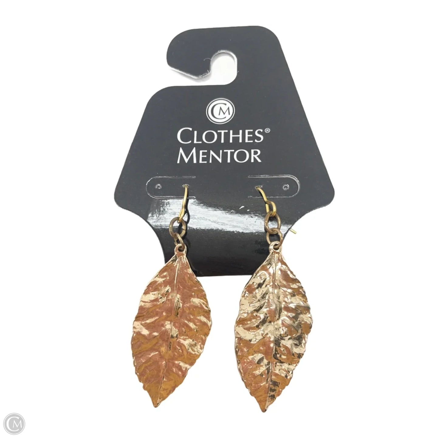 Earrings Dangle/drop By Clothes Mentor