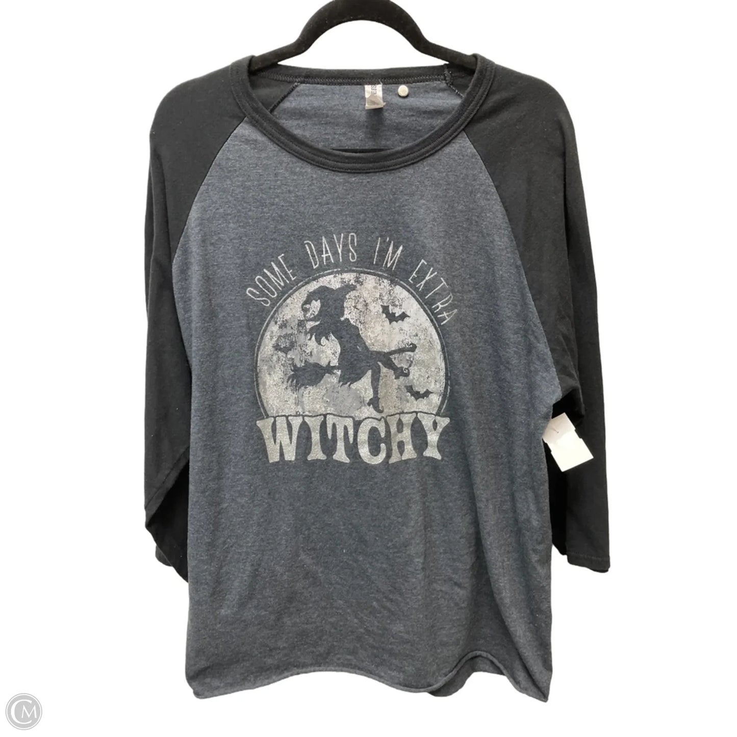 Top 3/4 Sleeve By Jerzees In Grey & Silver, Size: 2x