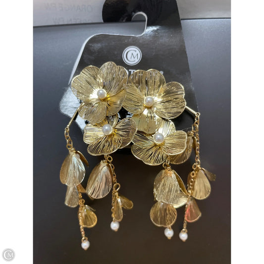 Earrings Dangle/drop By Clothes Mentor