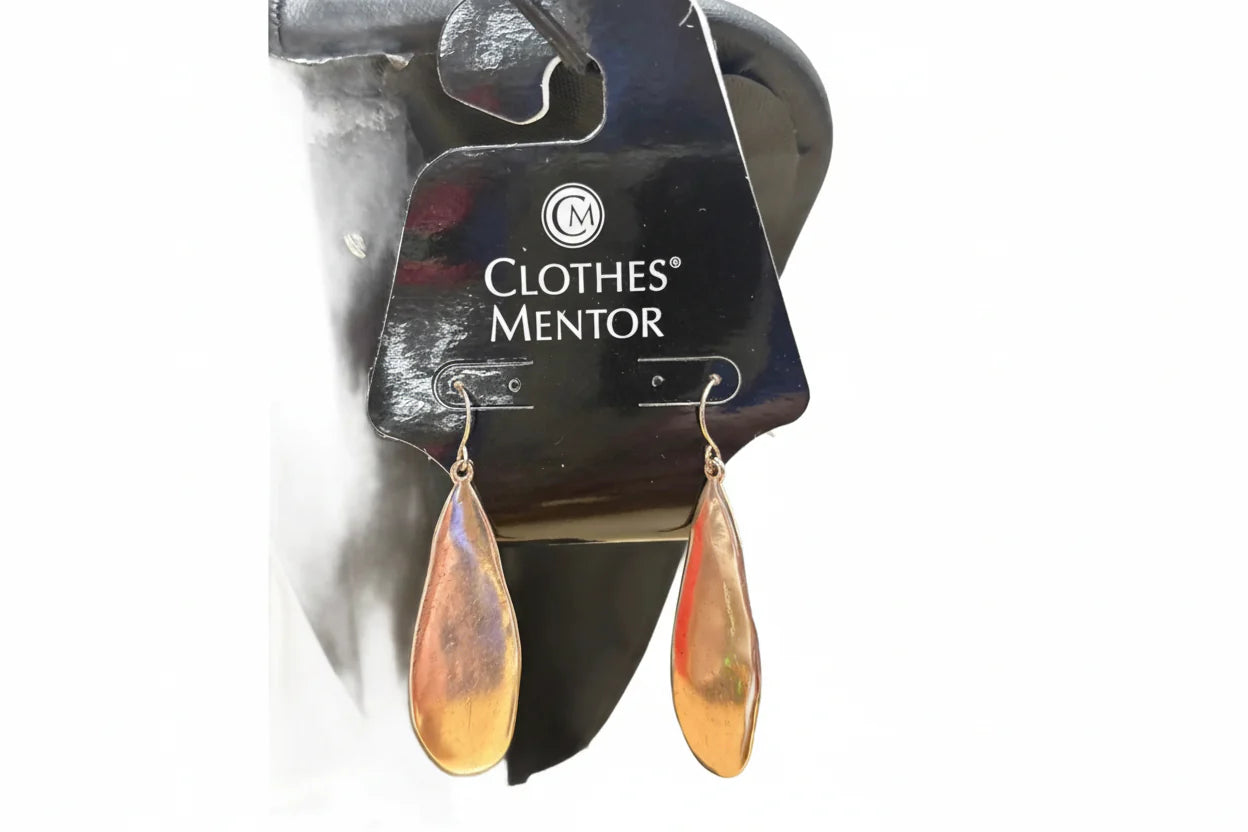 Earrings Dangle/drop By Clothes Mentor