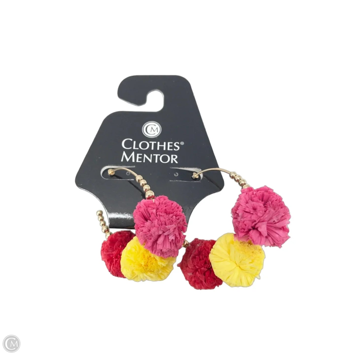 Earrings Dangle/drop By Clothes Mentor