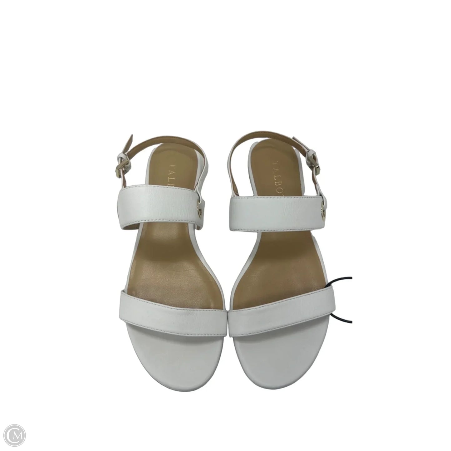 Sandals Flip Flops By Talbots In White, Size: 6.5