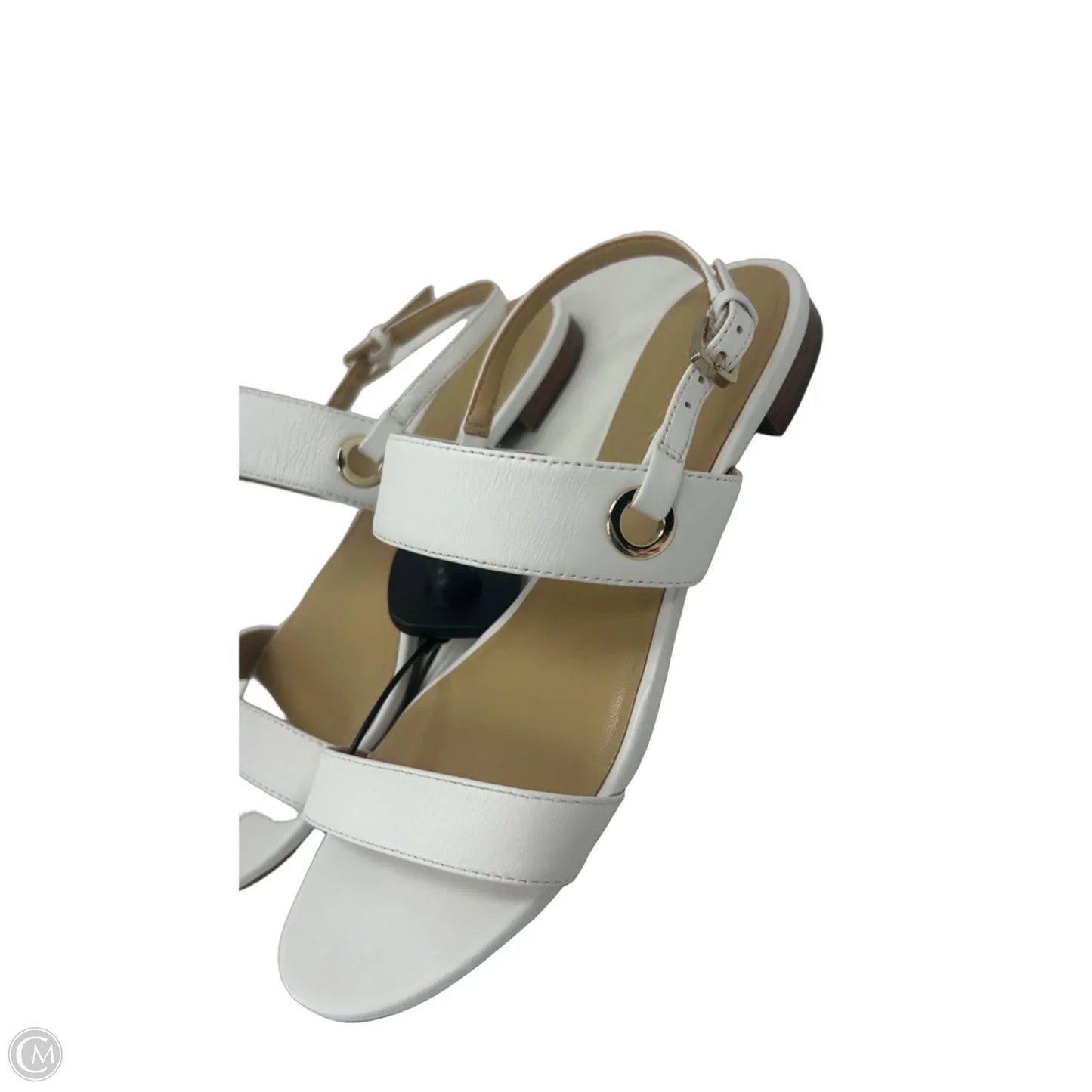 Sandals Flip Flops By Talbots In White, Size: 6.5