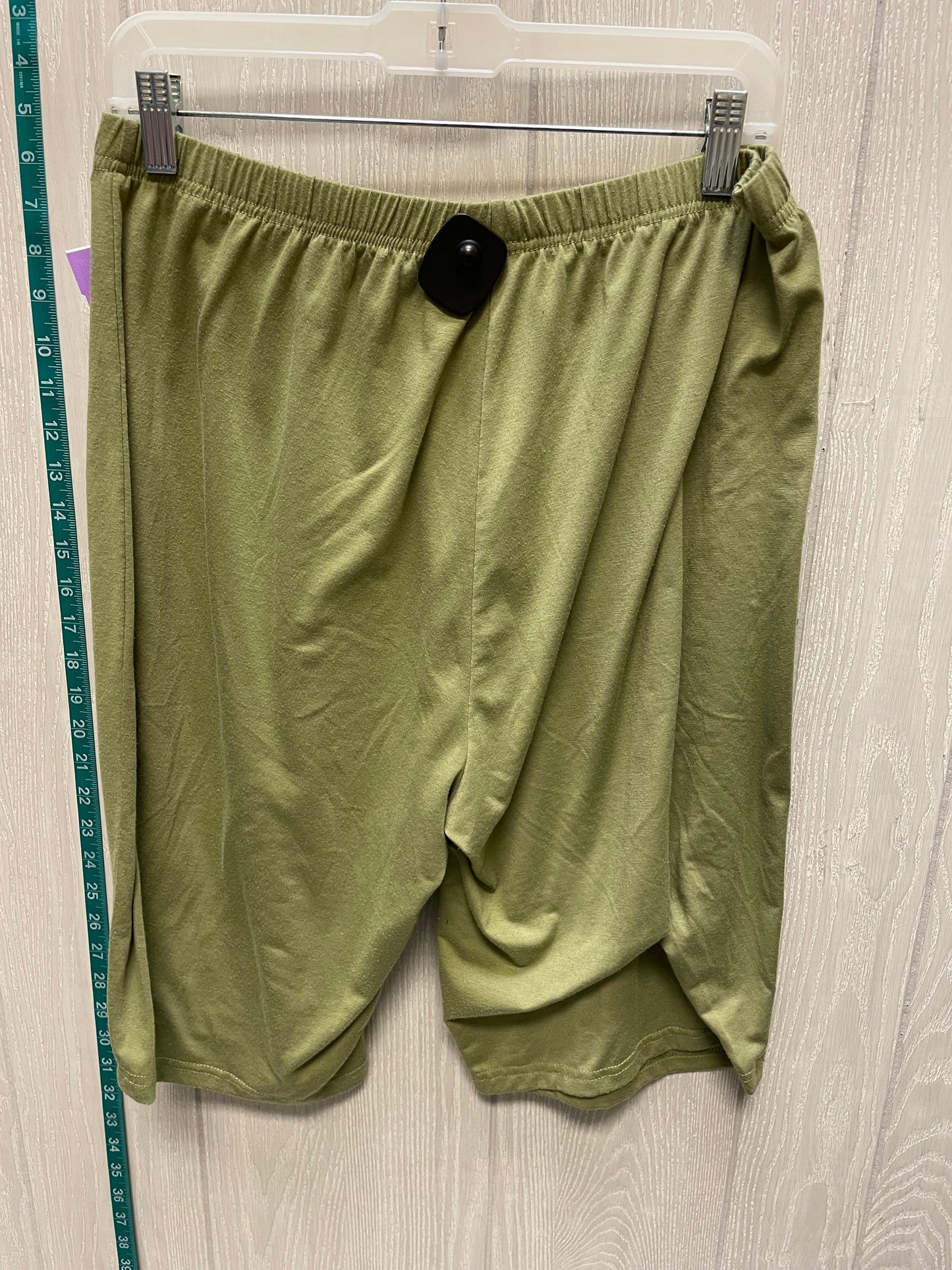 Green Shorts Clothes Mentor, Size 24