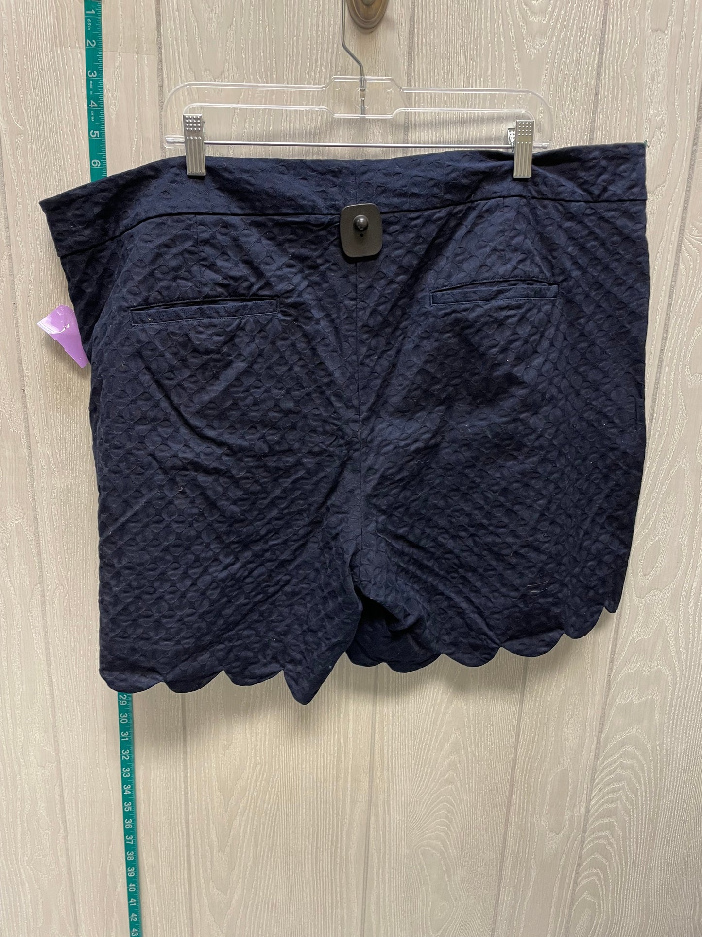 Navy Shorts Crown And Ivy, Size 24