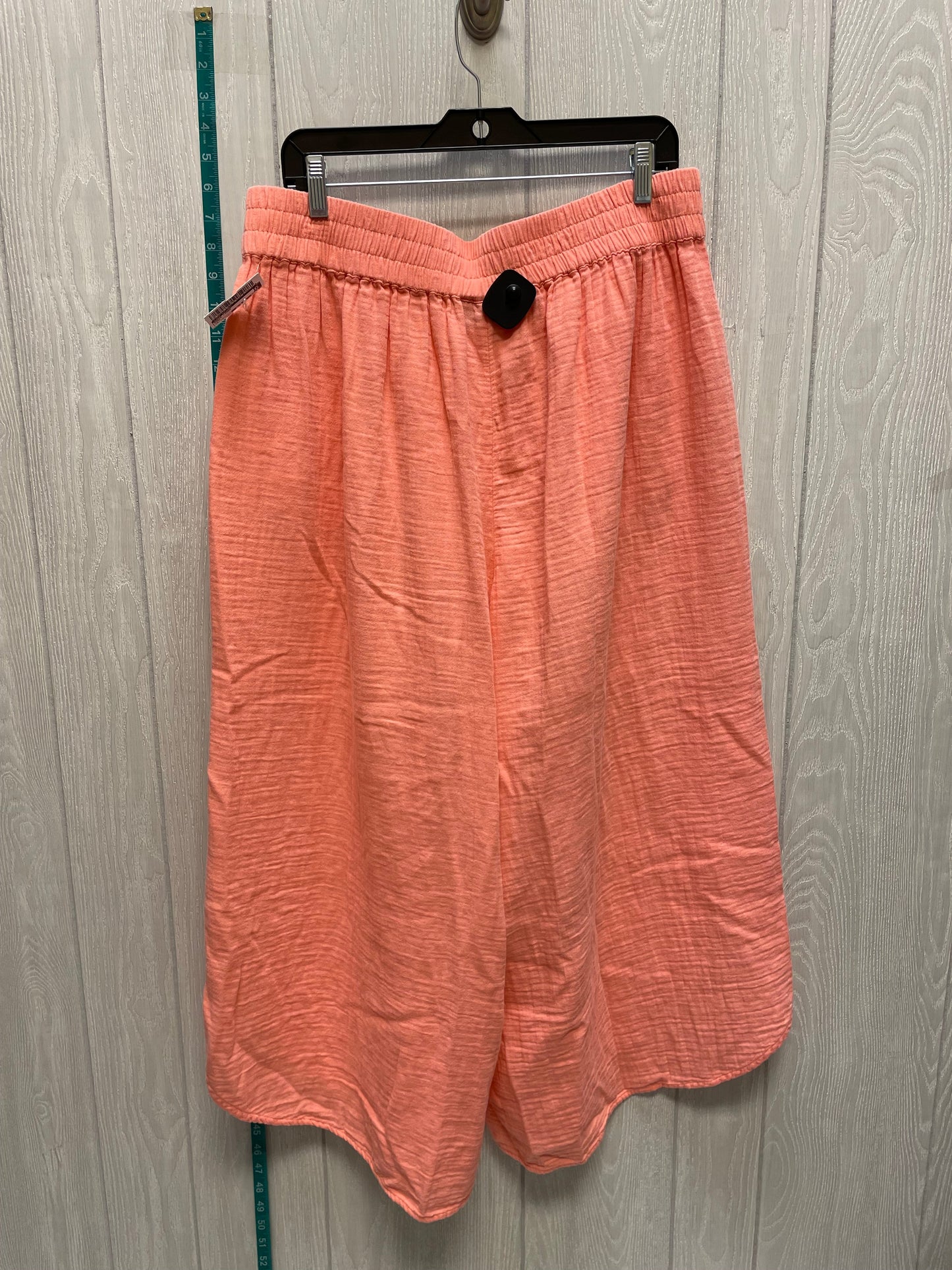 Pink Pants Linen Lane Bryant, Size 16