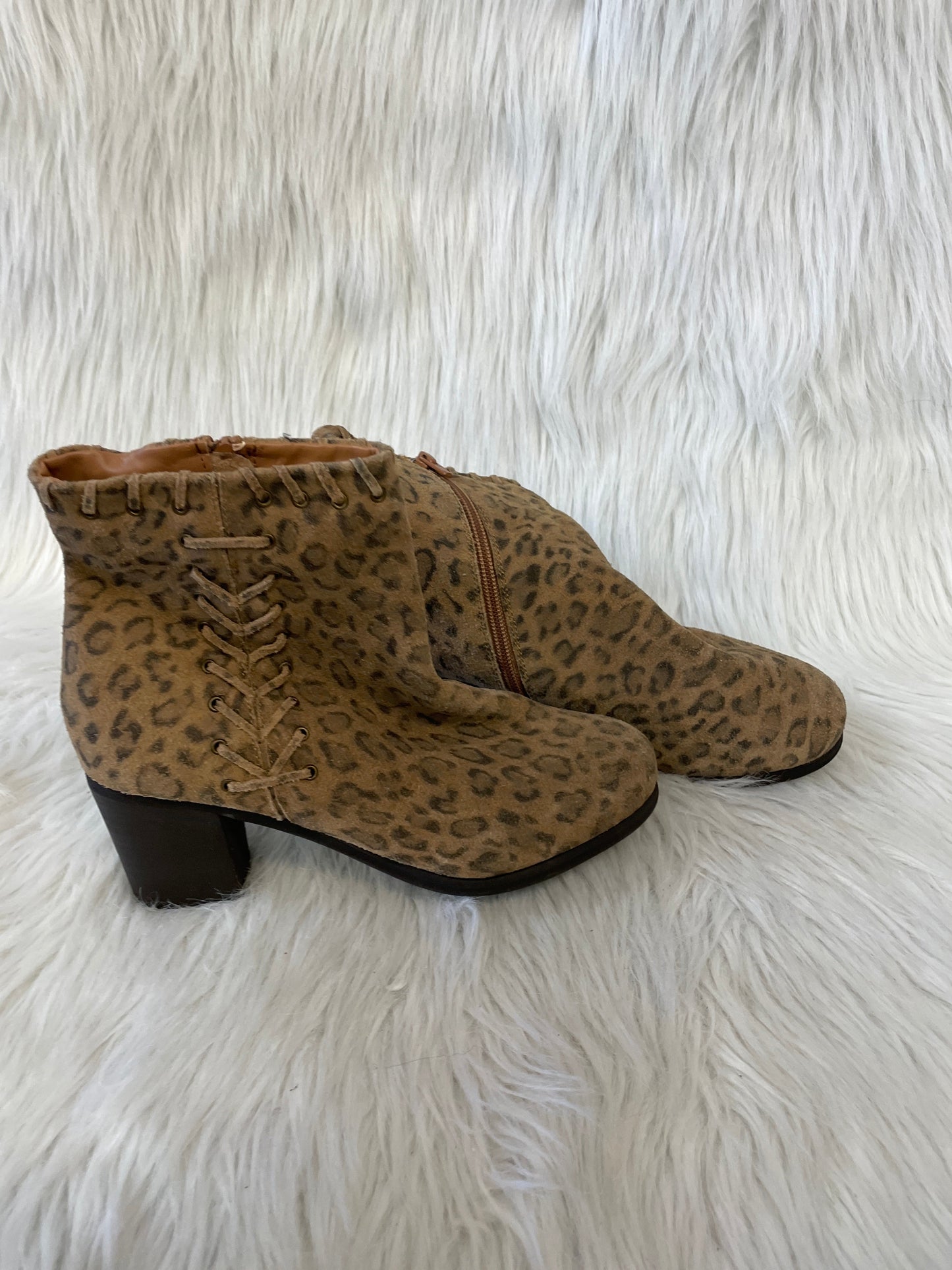 Boots Ankle Heels By Matisse In Animal Print, Size: 6