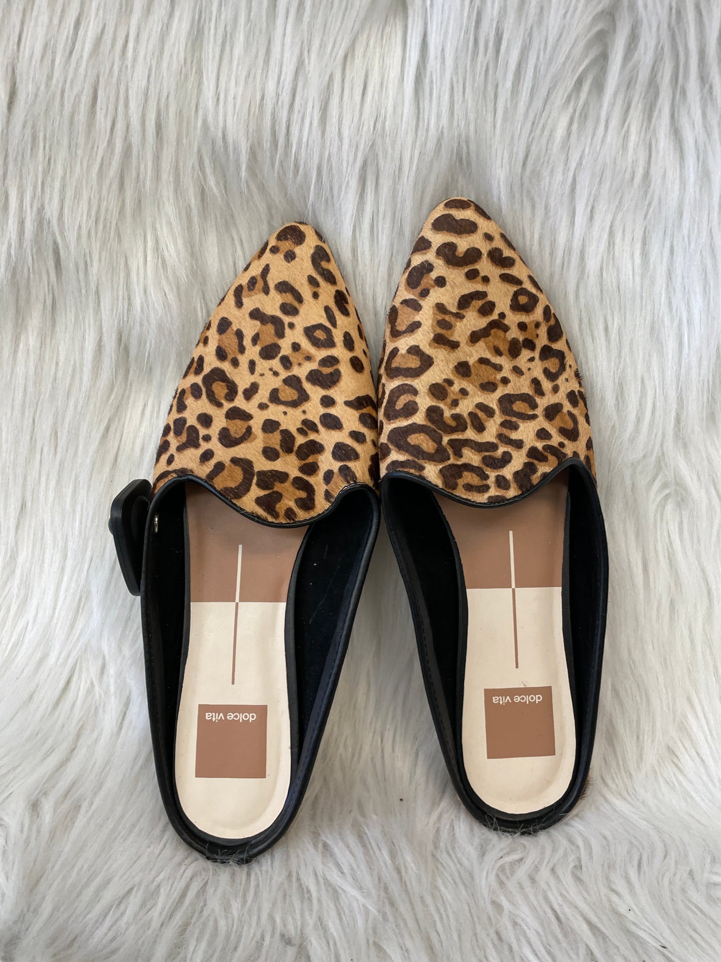 Shoes Flats By Dolce Vita In Animal Print, Size: 8.5