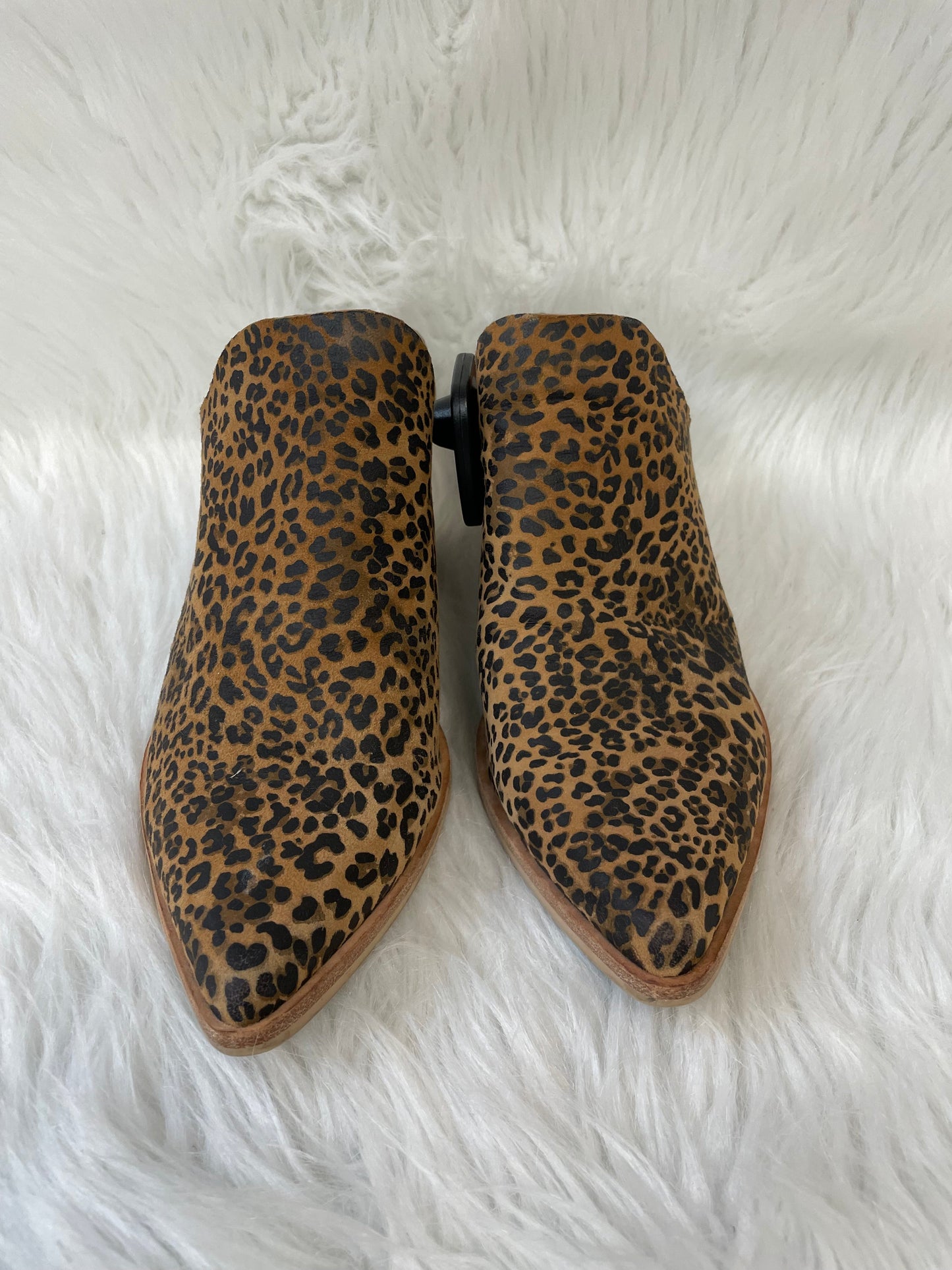 Boots Ankle Heels By Dolce Vita In Animal Print, Size: 6.5