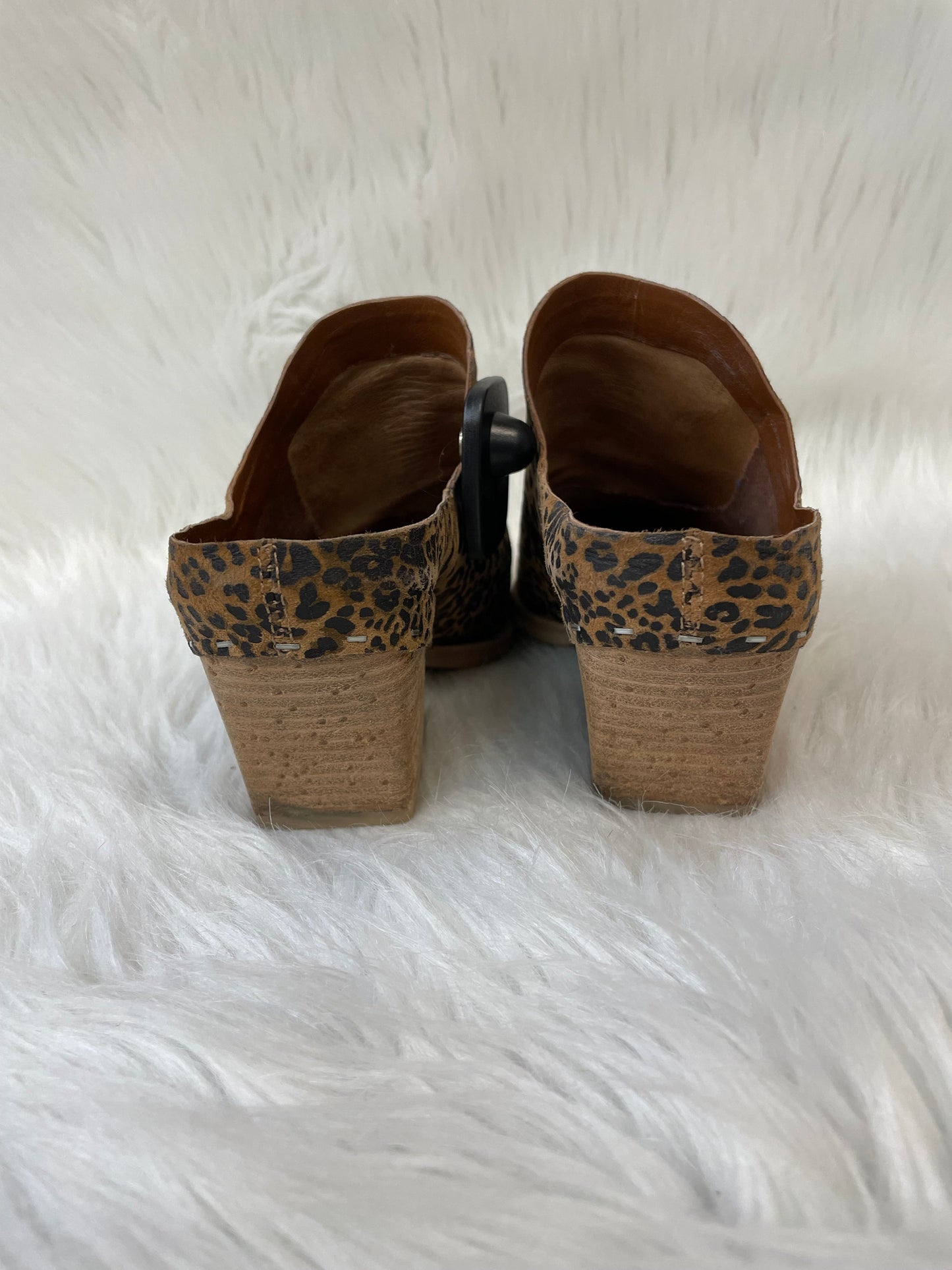 Boots Ankle Heels By Dolce Vita In Animal Print, Size: 6.5