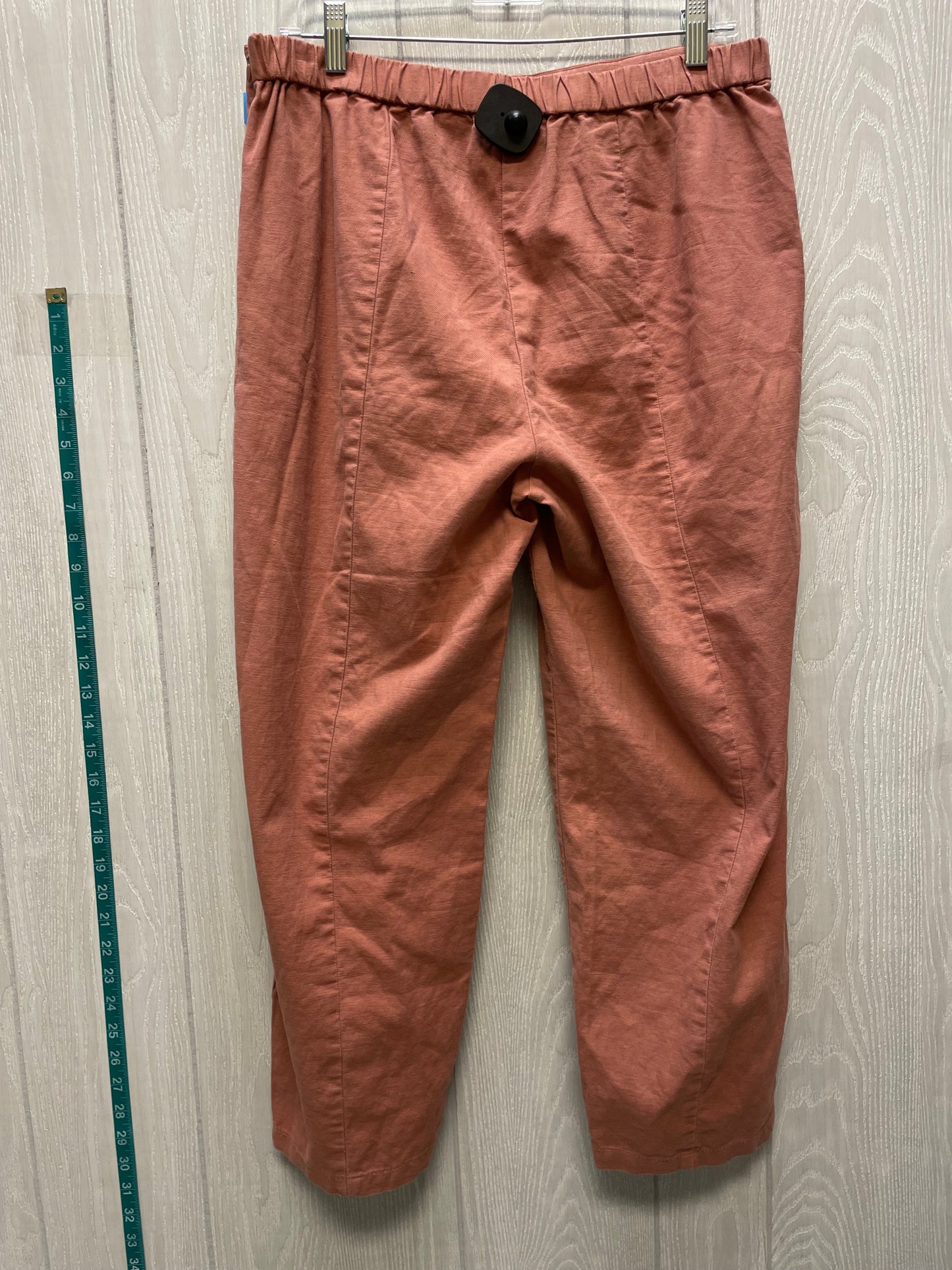 Pants Other By Eileen Fisher In Coral, Size: 6p