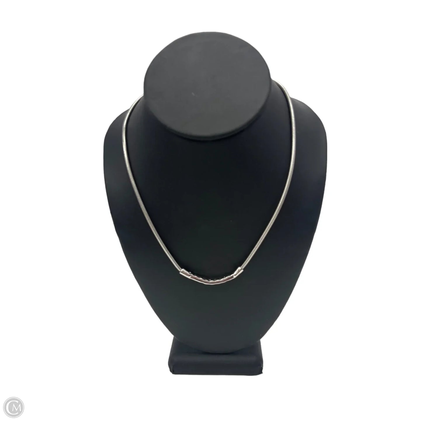 Necklace Chain By Clothes Mentor