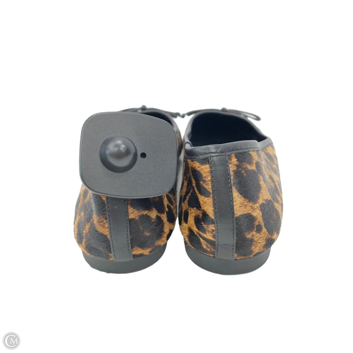 Shoes Flats By Schutz In Animal Print, Size: 9.5