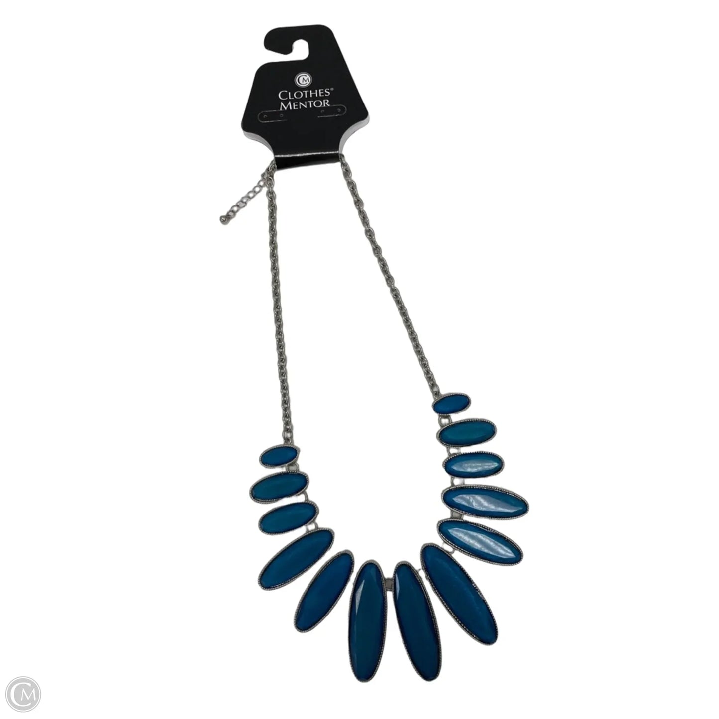 Necklace Chain By Clothes Mentor