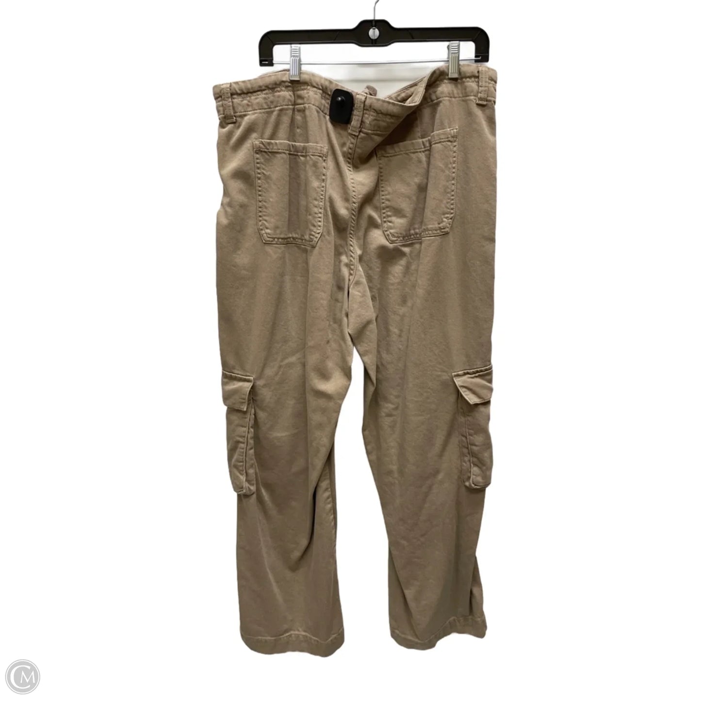 Pants Cargo & Utility By Time And Tru In Brown, Size: 18