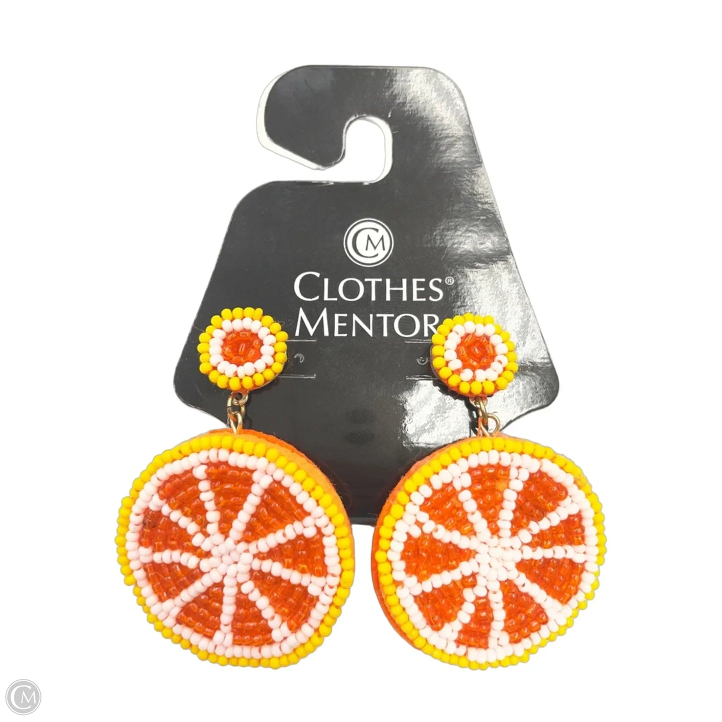 Earrings Dangle/drop By Clothes Mentor