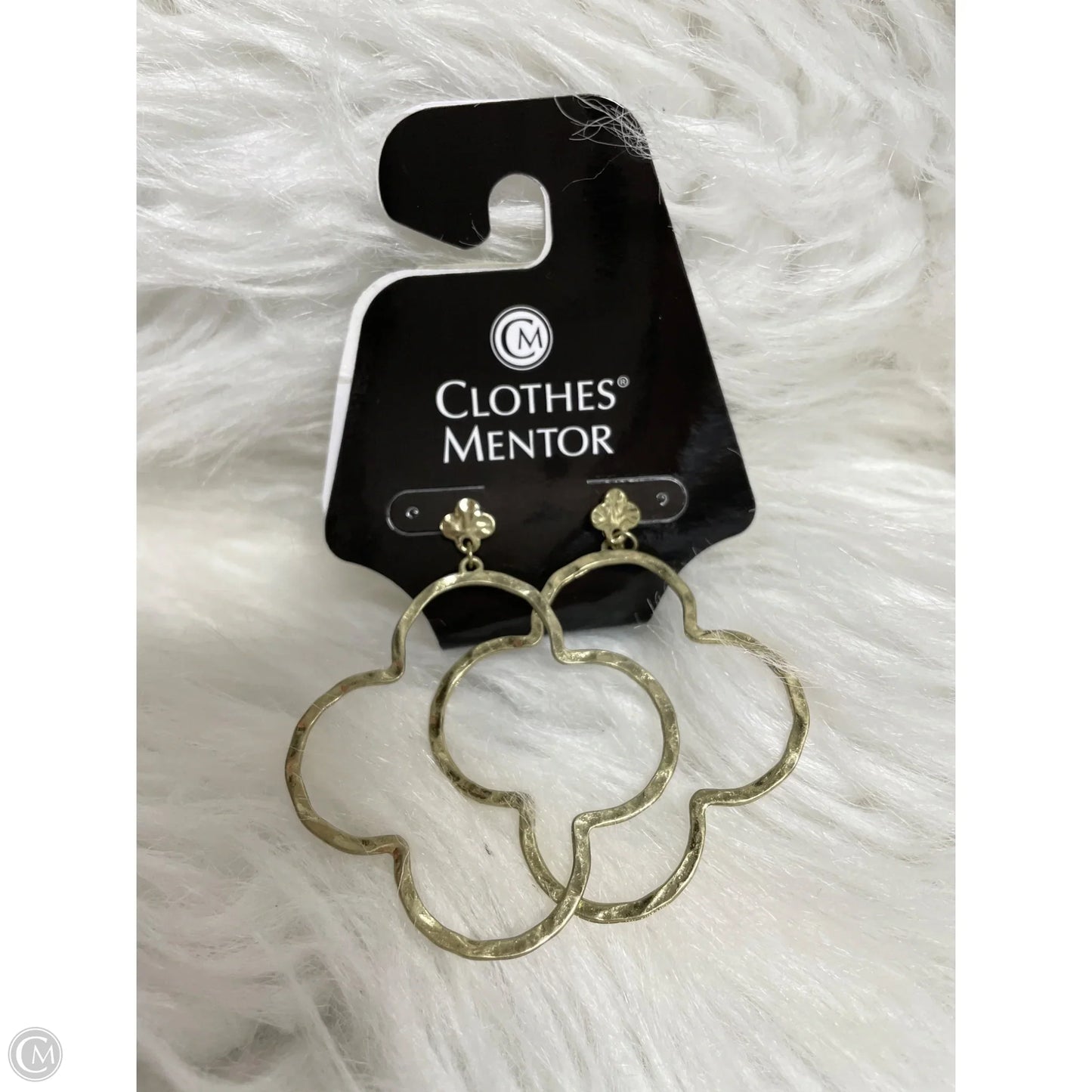 Earrings Dangle/drop By Canvas