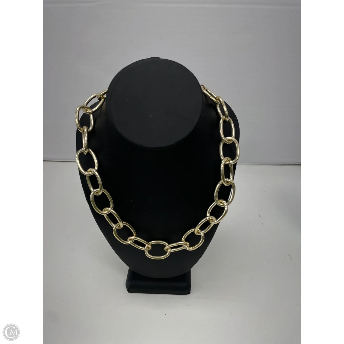Necklace Chain By Clothes Mentor