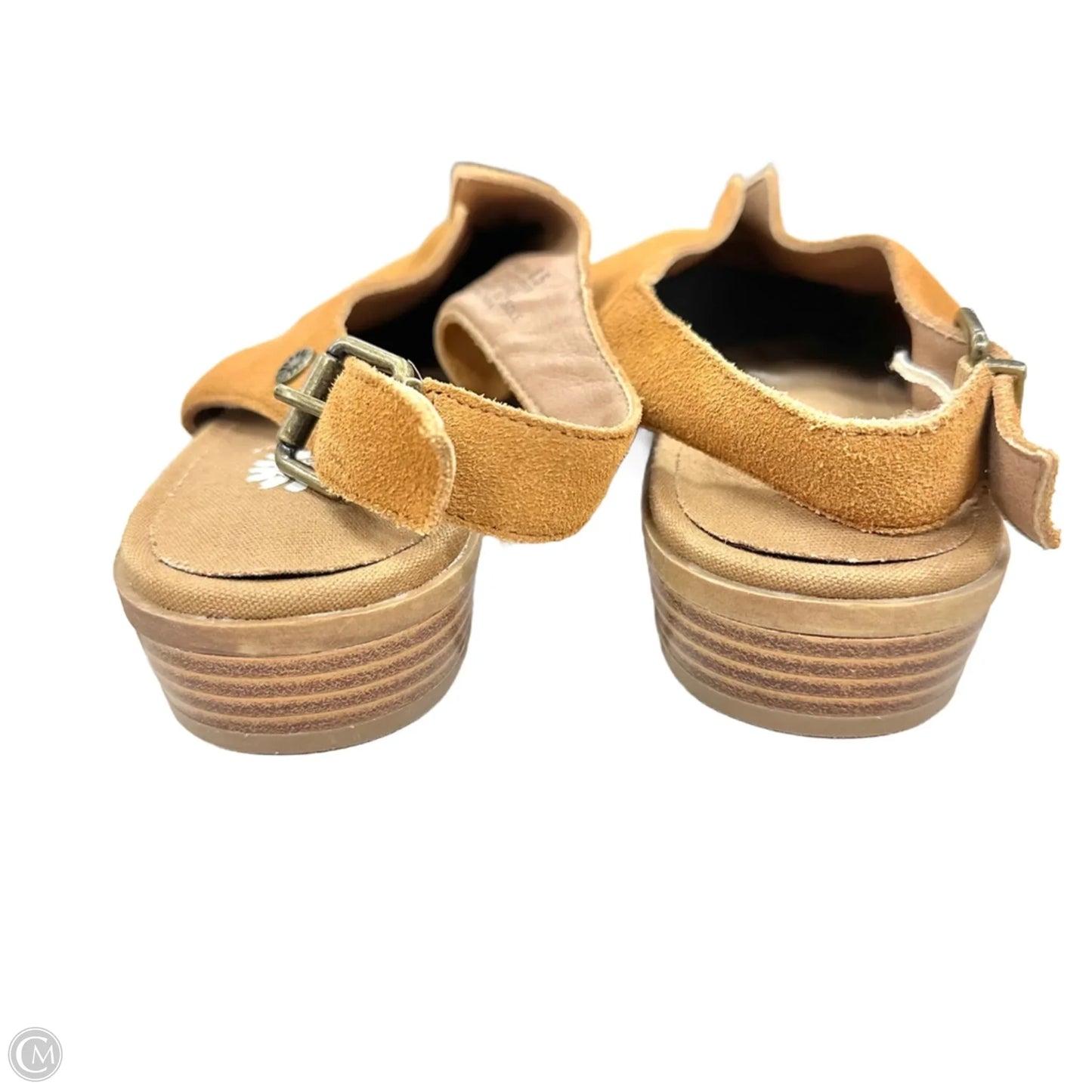 Shoes Flats By Yellow Box In Brown, Size: 8.5