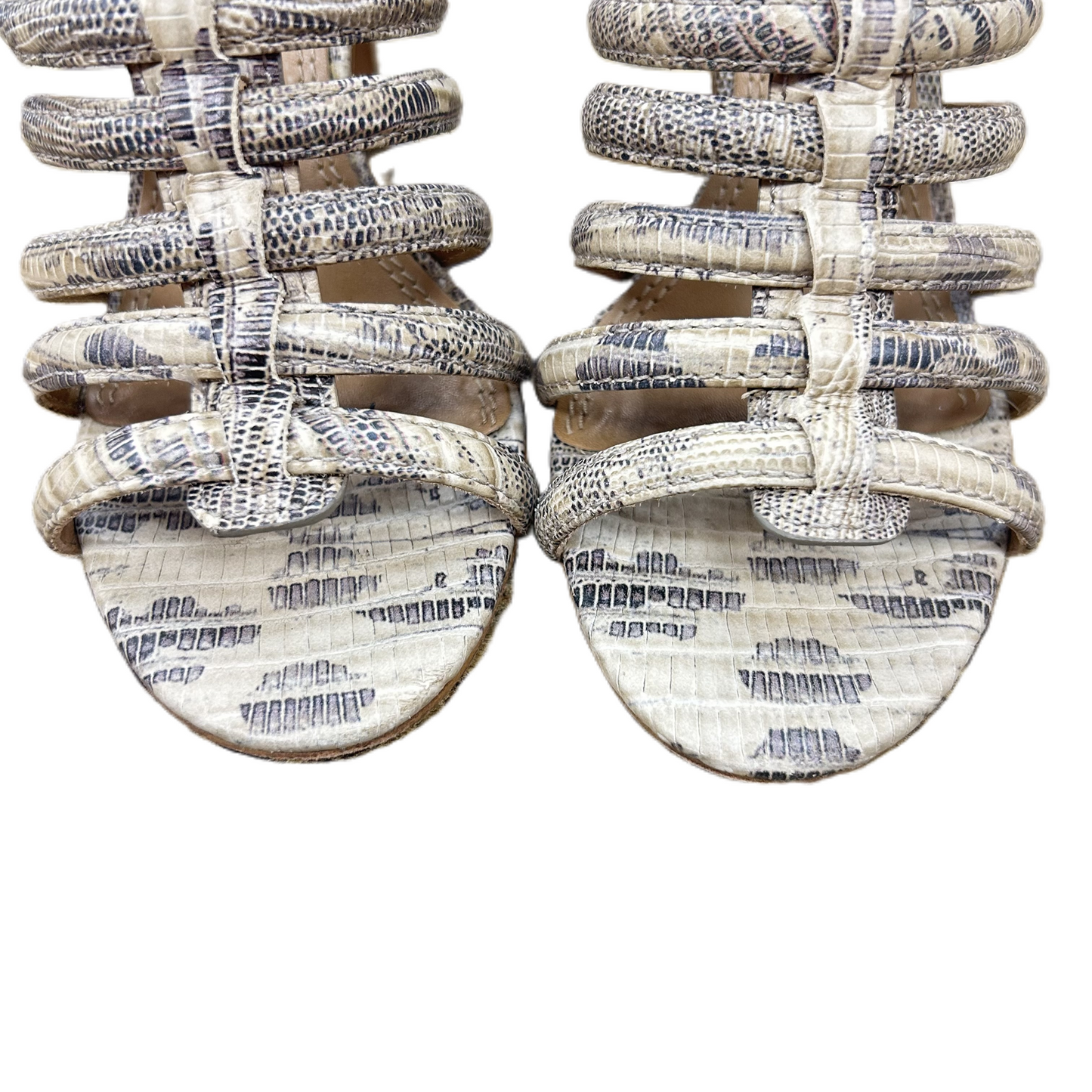 Snakeskin Print Sandals Designer By Tory Burch, Size: 6
