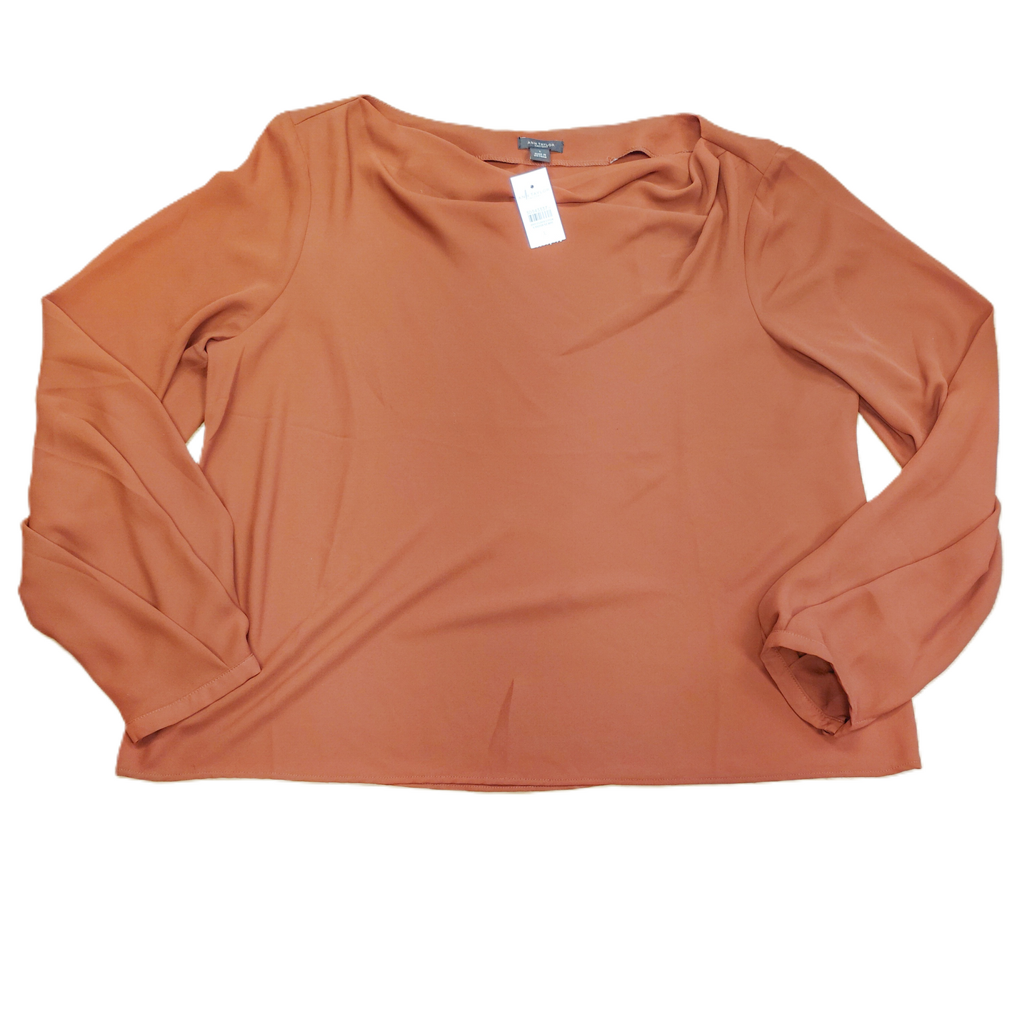 Brown Top Long Sleeve By Ann Taylor, Size: L