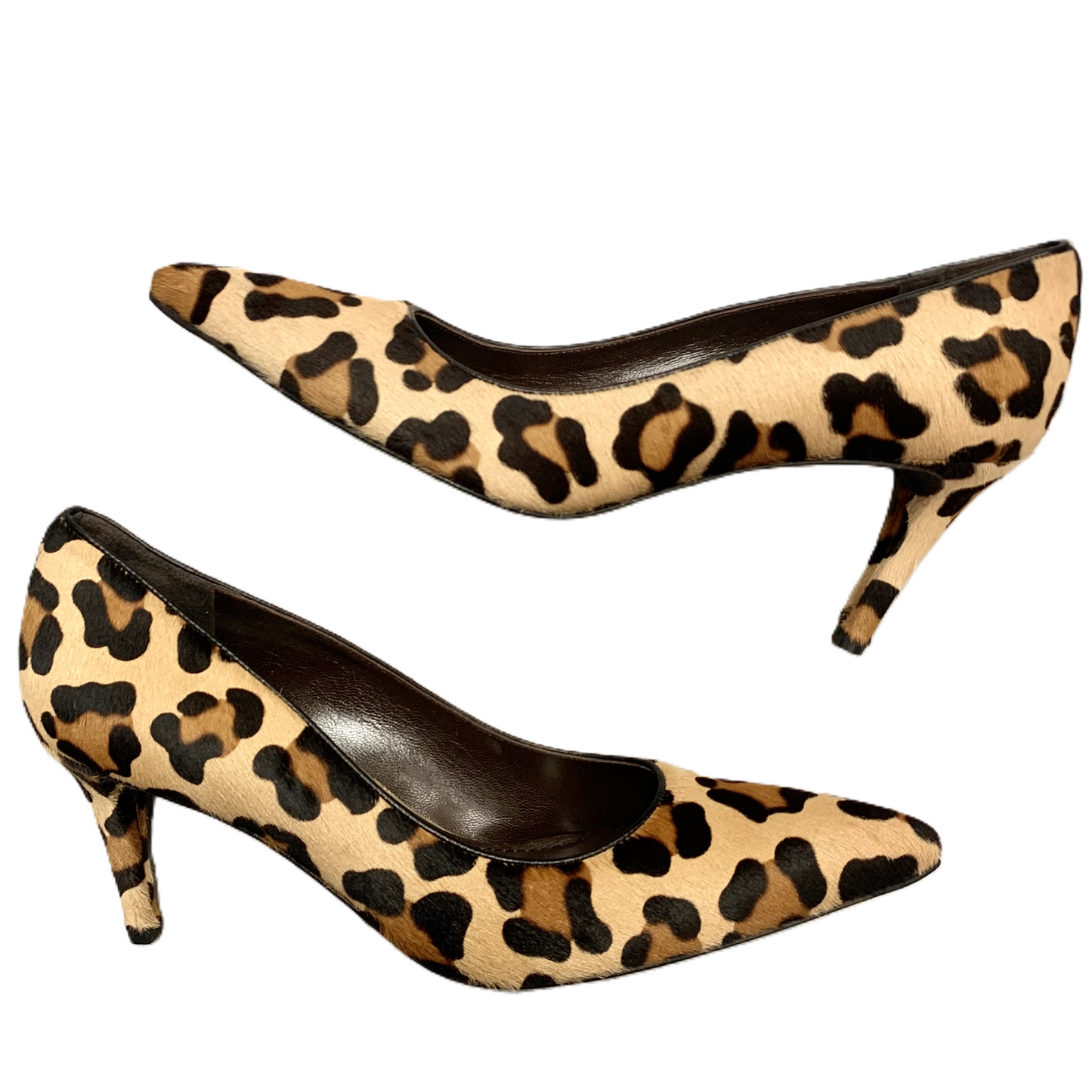 Shoes Designer By Stuart Weitzman In Leopard Print, Size: 10.5